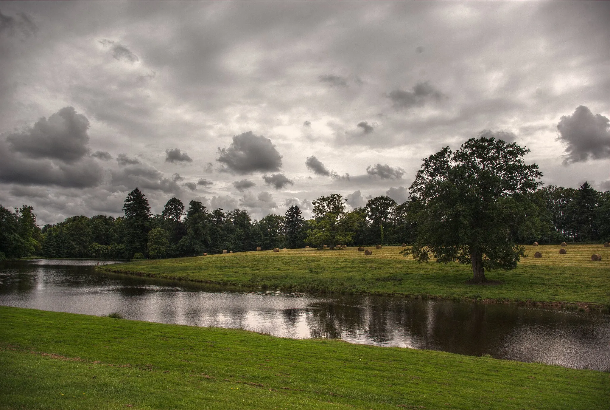 Photo showing: Vue de l'étang du parc du château de la Bretonnière, Vigneux-de-Bretagne, juin 2012