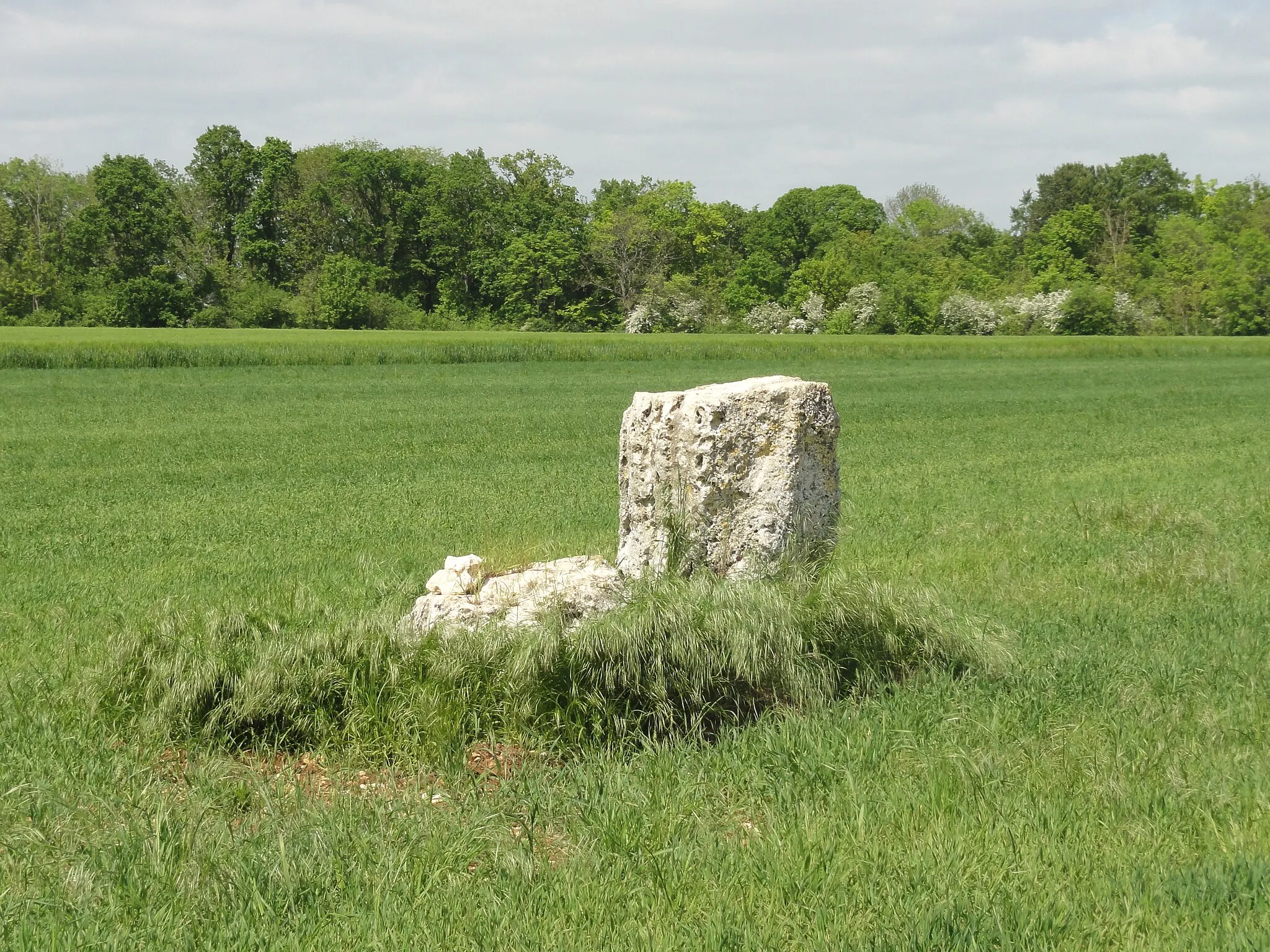 Photo showing: La Pierre Droite, menhir cassé ?