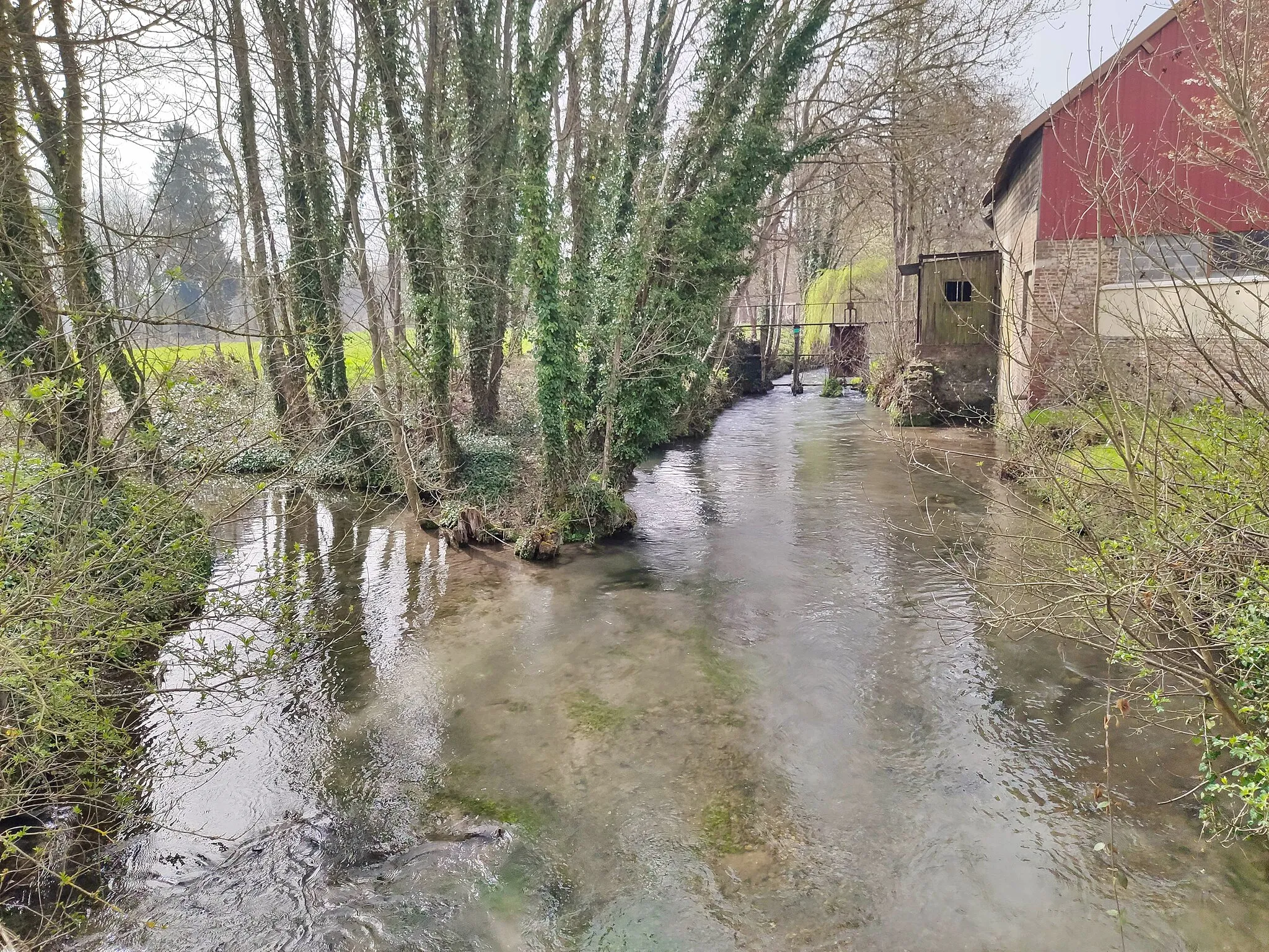 Photo showing: Hameau de Luzières à Conty : Confluent de la Selle (à droite) et de la pièce d'eau du Château