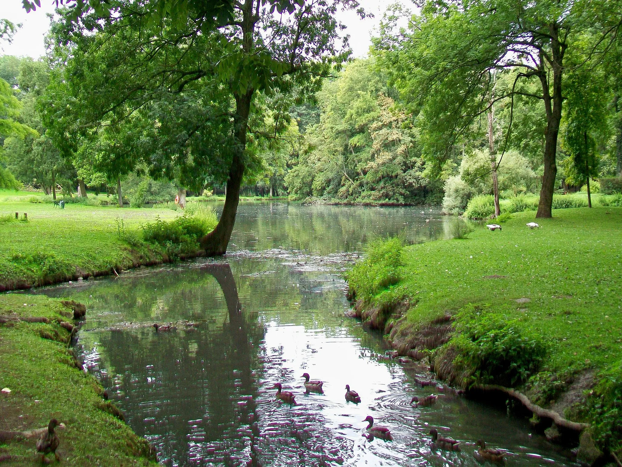 Photo showing: L'un des étangs au fond de la vallée.
