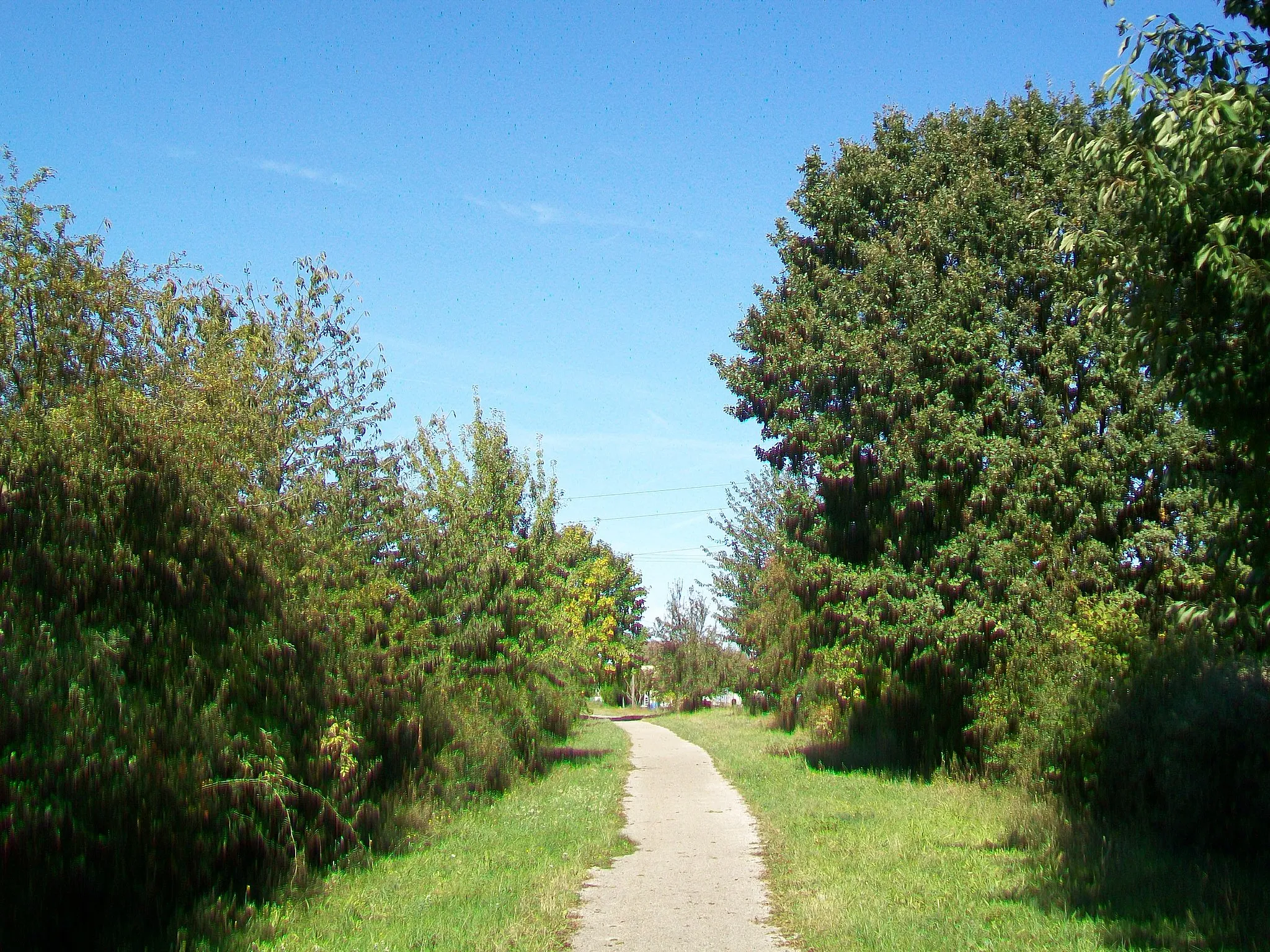 Photo showing: Le tracé de l'ancienne voie ferrée Verberie - Estrées près de Longueil-Sainte-Marie, entre le hameau de Rucourt et le bourg.