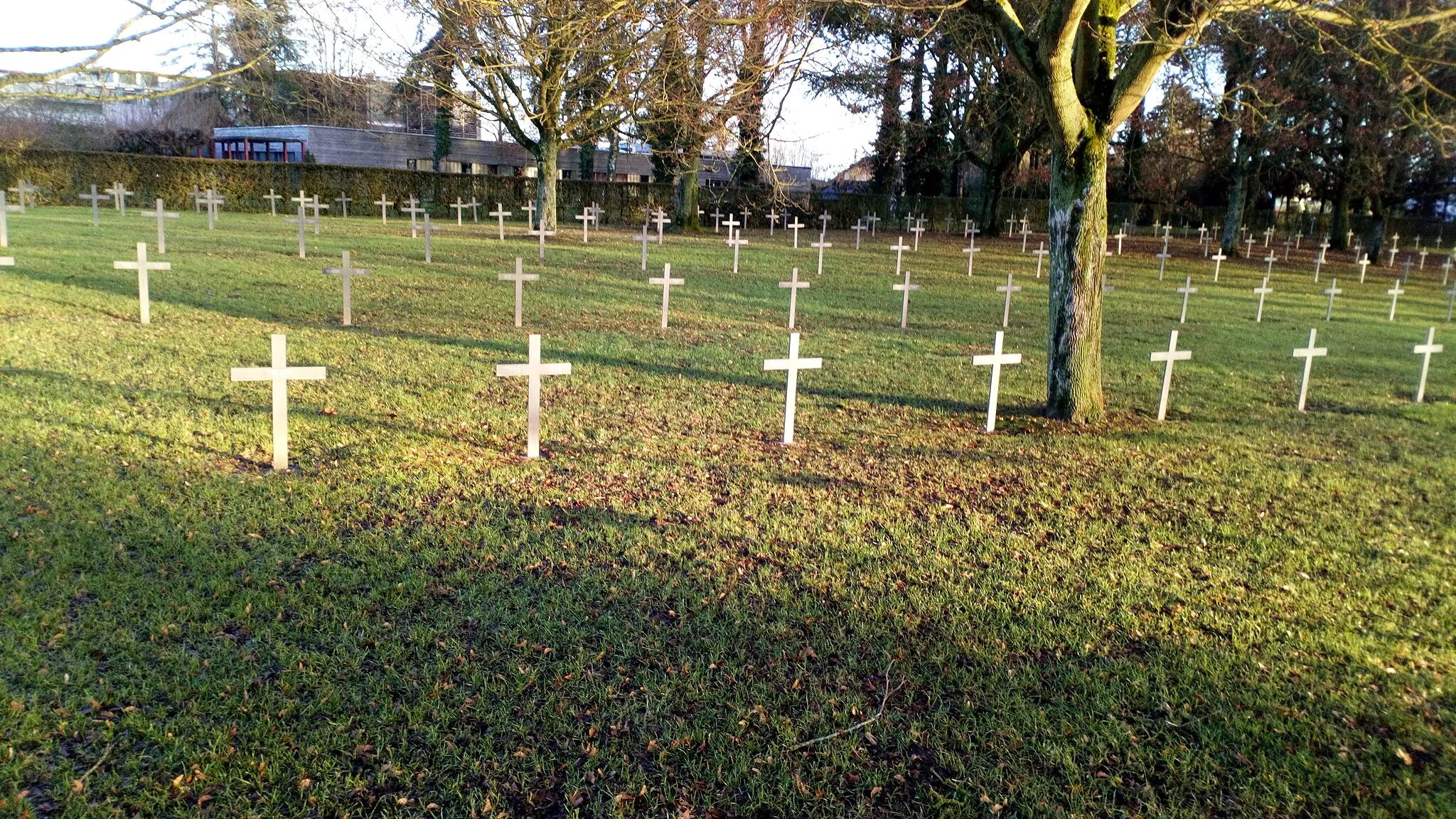 Photo showing: Cimetière militaire allemand de Montdidier 6