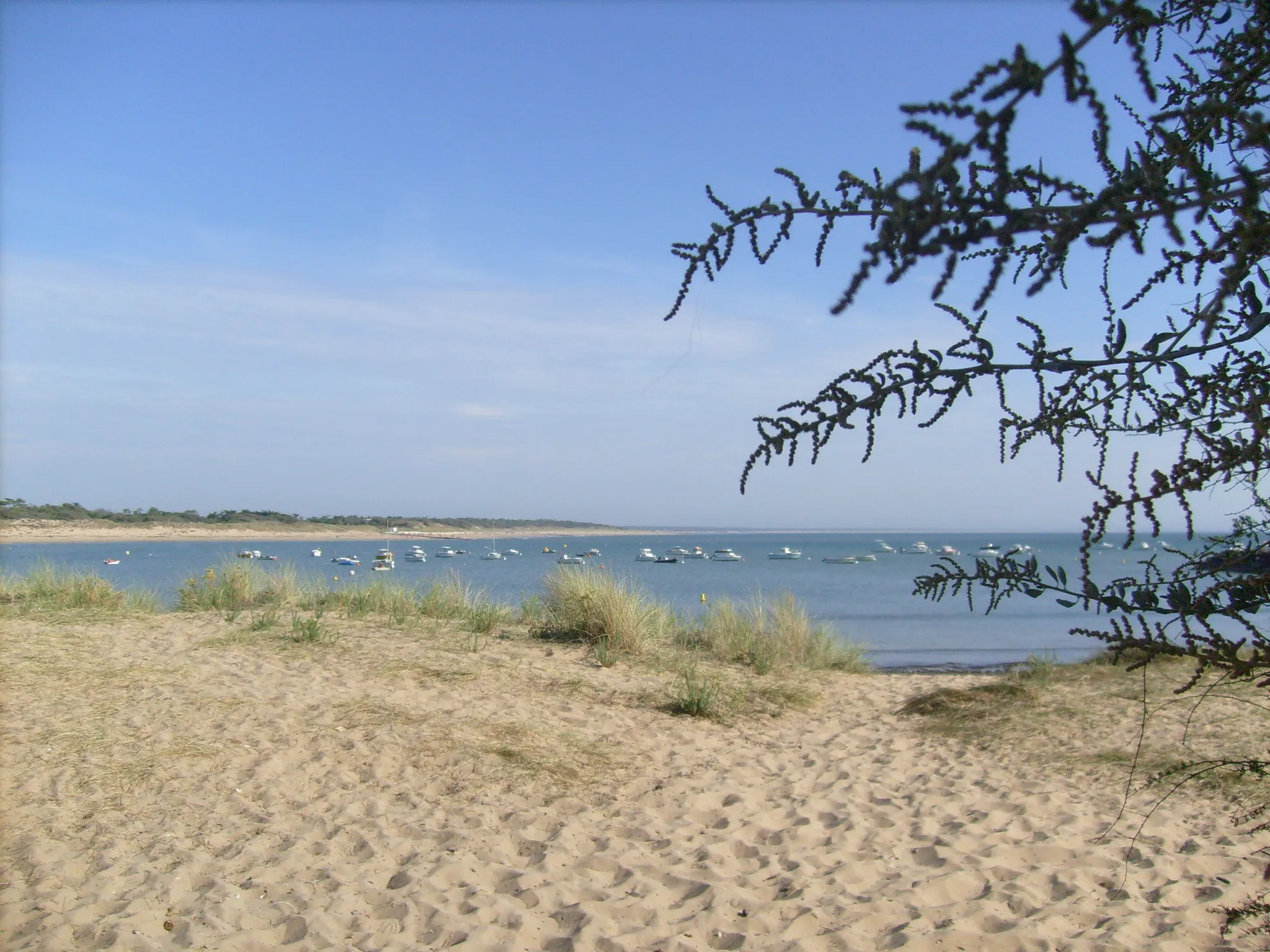 Photo showing: L'anse de la Perroche à Dolus-d'Oléron