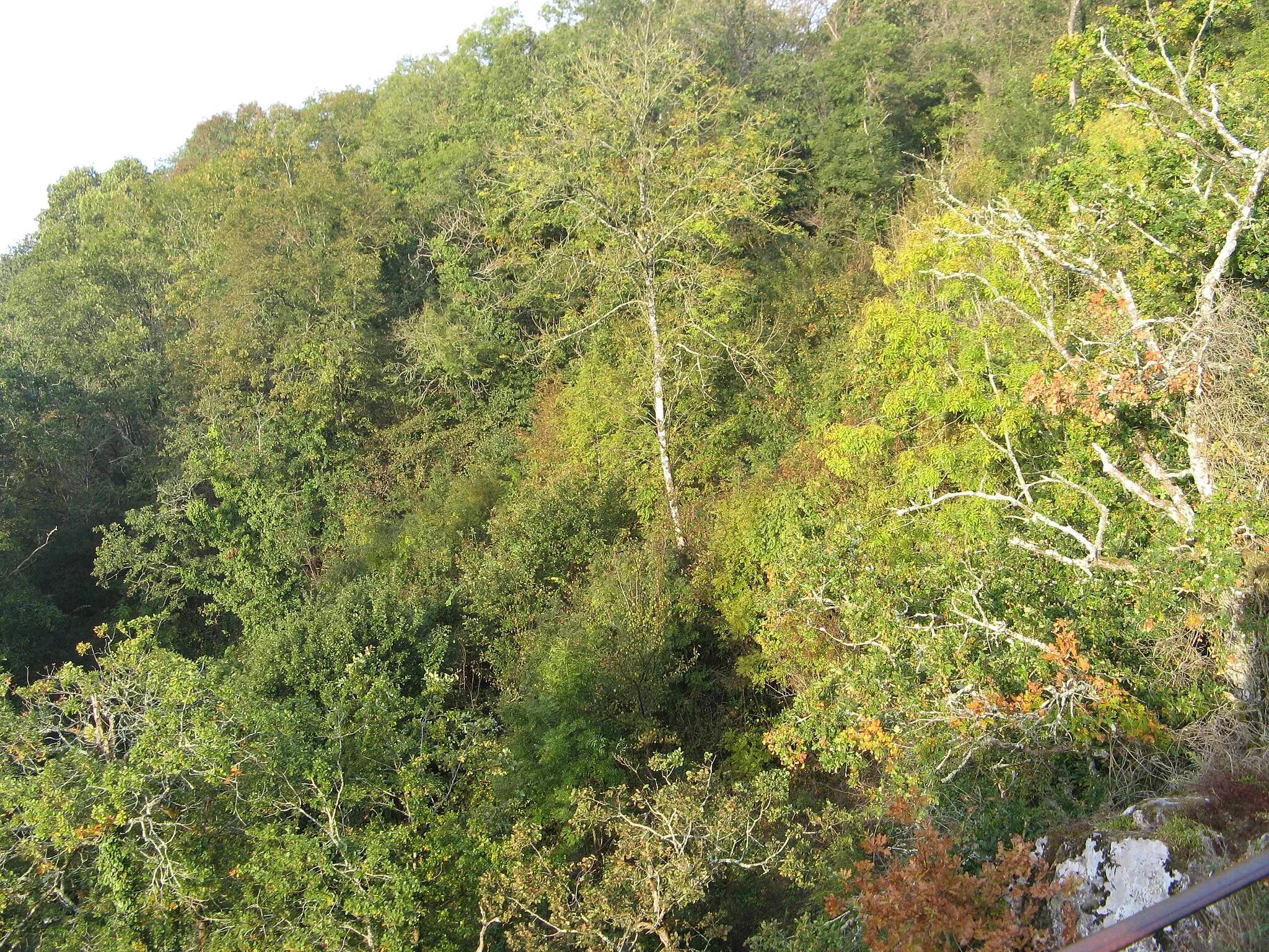 Photo showing: Vue du belvédère.