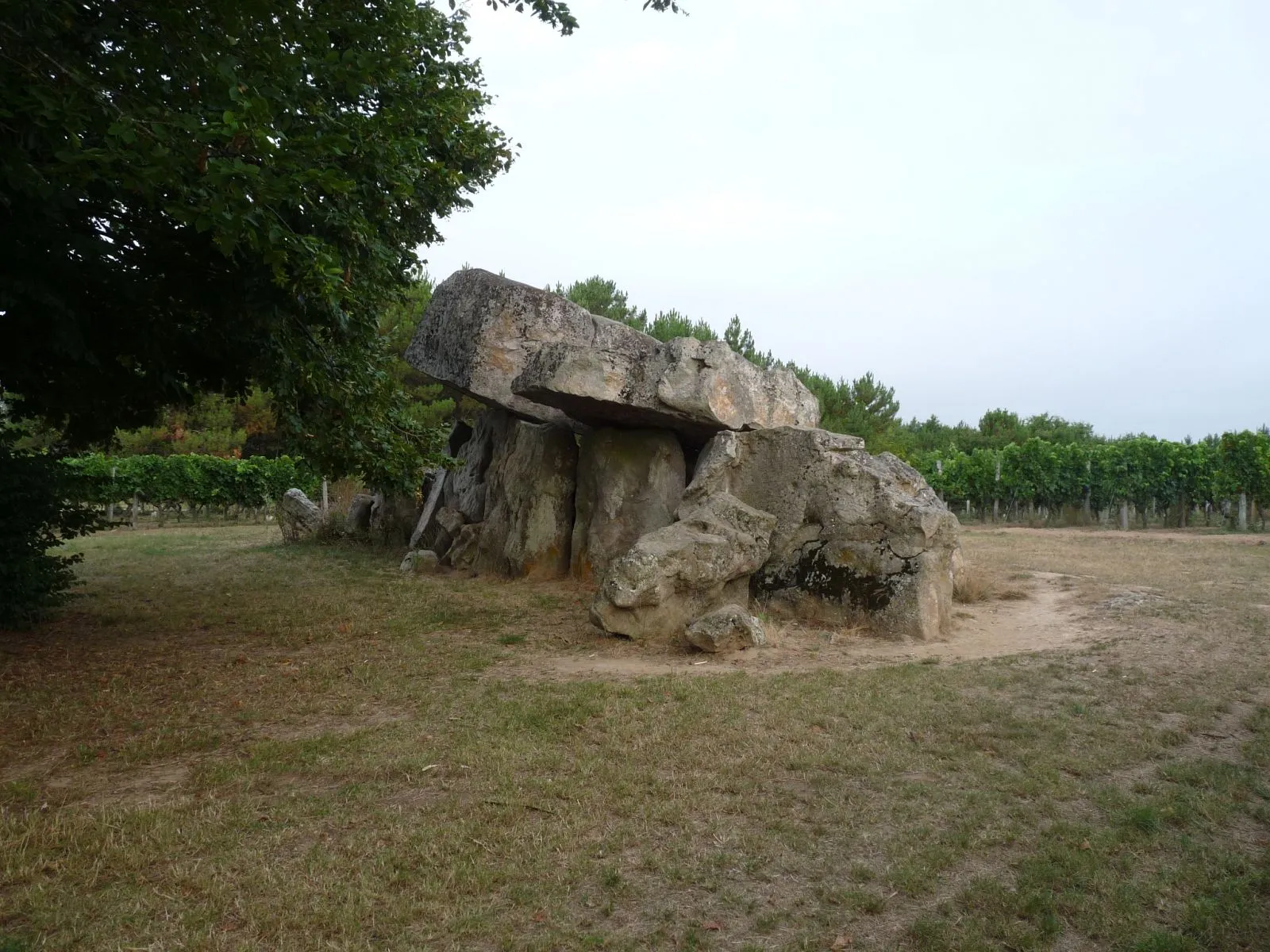 Photo showing: dolmen of Montguyon, Charente-Maritime, SW France