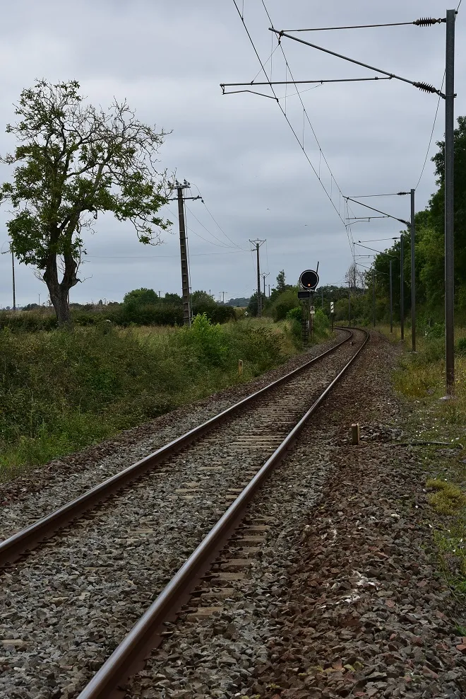 Photo showing: Ligne Poitiers-La Rochelle à Nanteuil (79), vers pk 47,5.
En arrivant d'est nous sommes presque au bout du tronçon à voie unique, débuté 25 km plus tôt en sortie de gare de Lusignan (86).
Eléments de signalisation visibles, depuis passage à niveau:

repère kilométrique ciment sur la gauche, au centre de l'image derrière, la cible lumineuse ronde présente un feu jaune fixe la courbe d'arrivée sur la gare de St-Maixent, distante d'environ 2 500 m, est annoncée par un mirliton; dans l'axe de la borne kilométrique enfin, encadrée par la végétation, indication de vitesse sous forme de TIV losange 120
Bien qu'il y eût dans l'histoire récente, des projets pour que cette relation retrouve sa 2ème voie déposée il y a bien longtemps, faute de trafic significatif, les choses semblent être à l'arrêt...