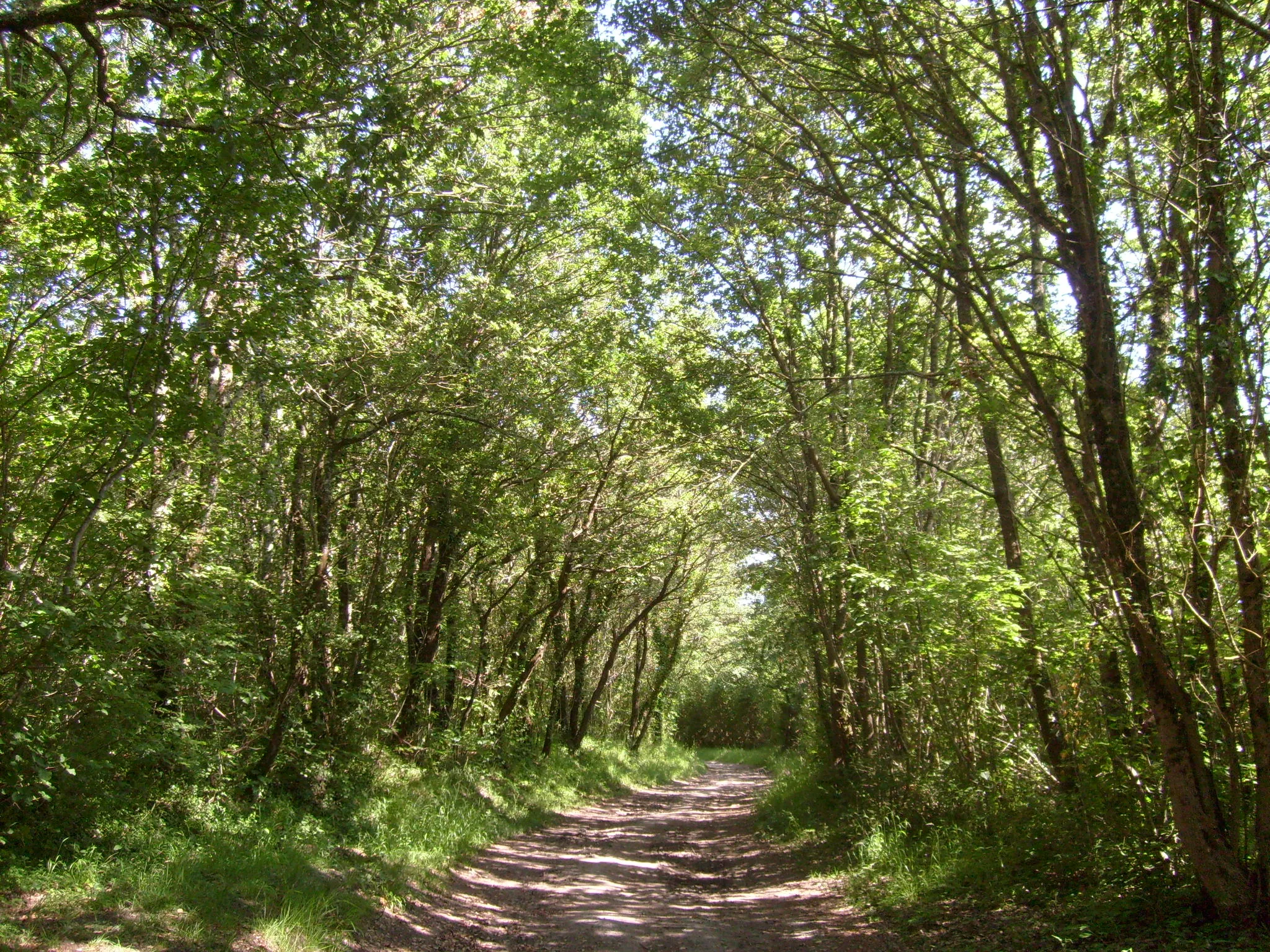 Image de Poitou-Charentes