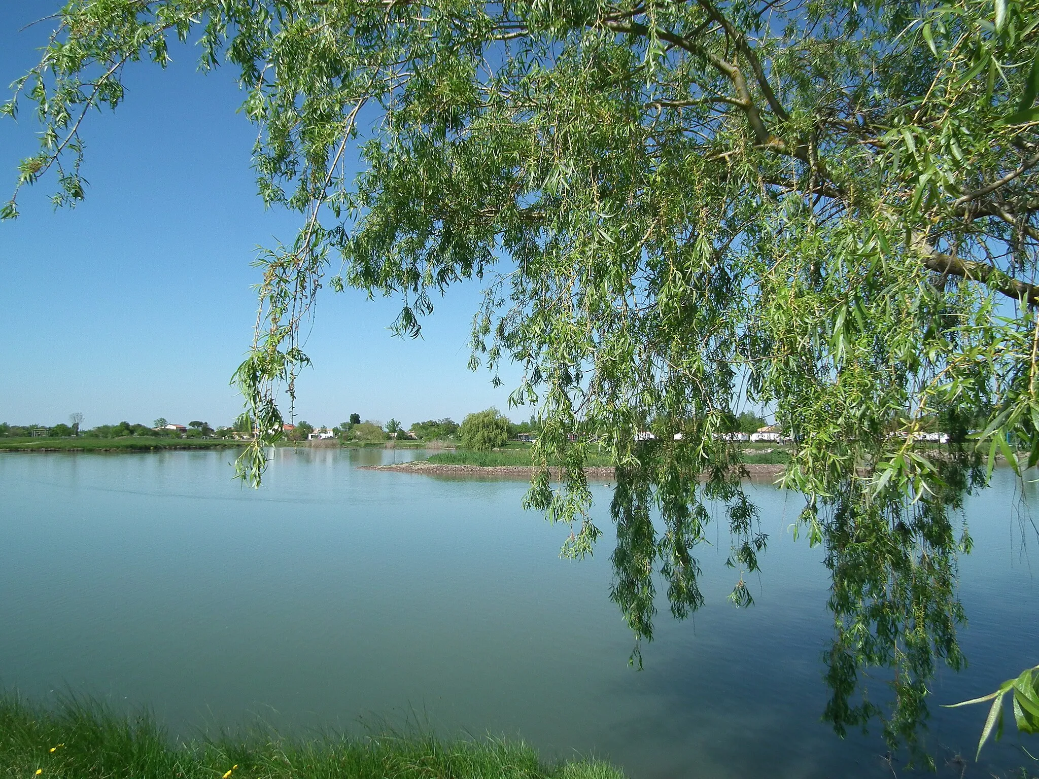 Photo showing: Les étangs de La Lande à Saujon