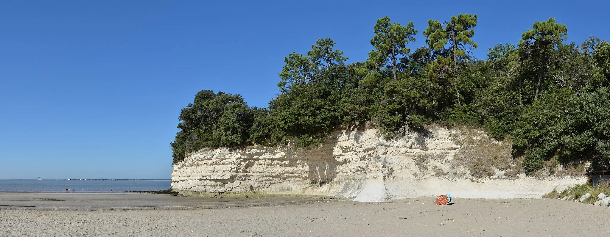 Photo showing: Cliff of shelly limestone and forest of Suzac, Meschers-sur-Gironde, Charente-Maritime, France.