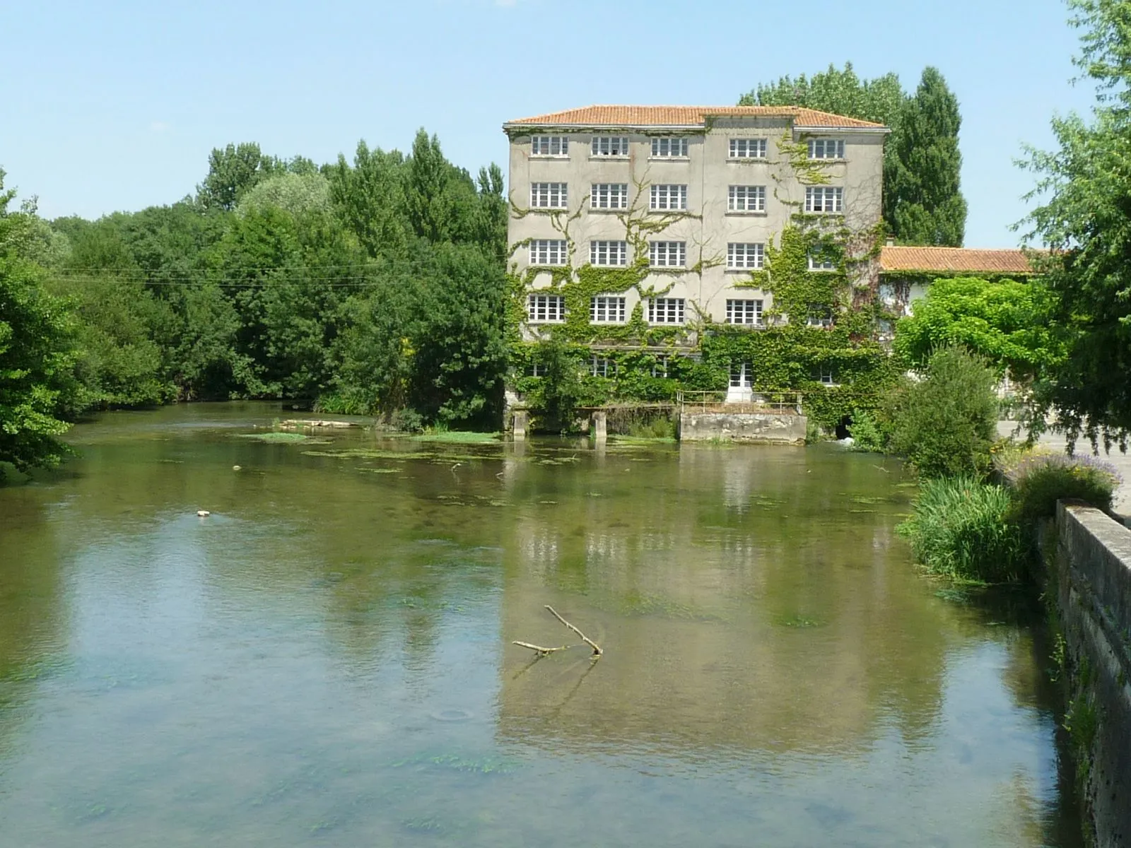 Photo showing: The river Charente at Vars, Charente, France.
Lizot watermill.