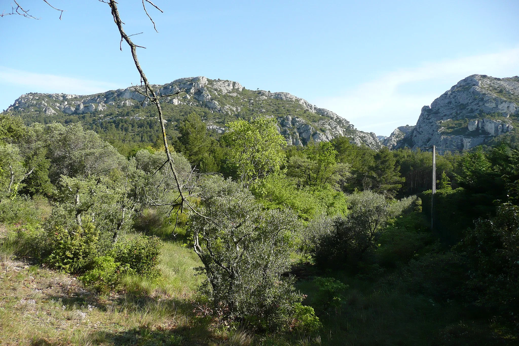 Photo showing: Les gorges de Régallon près Le Logis Neuf (Mérindol).