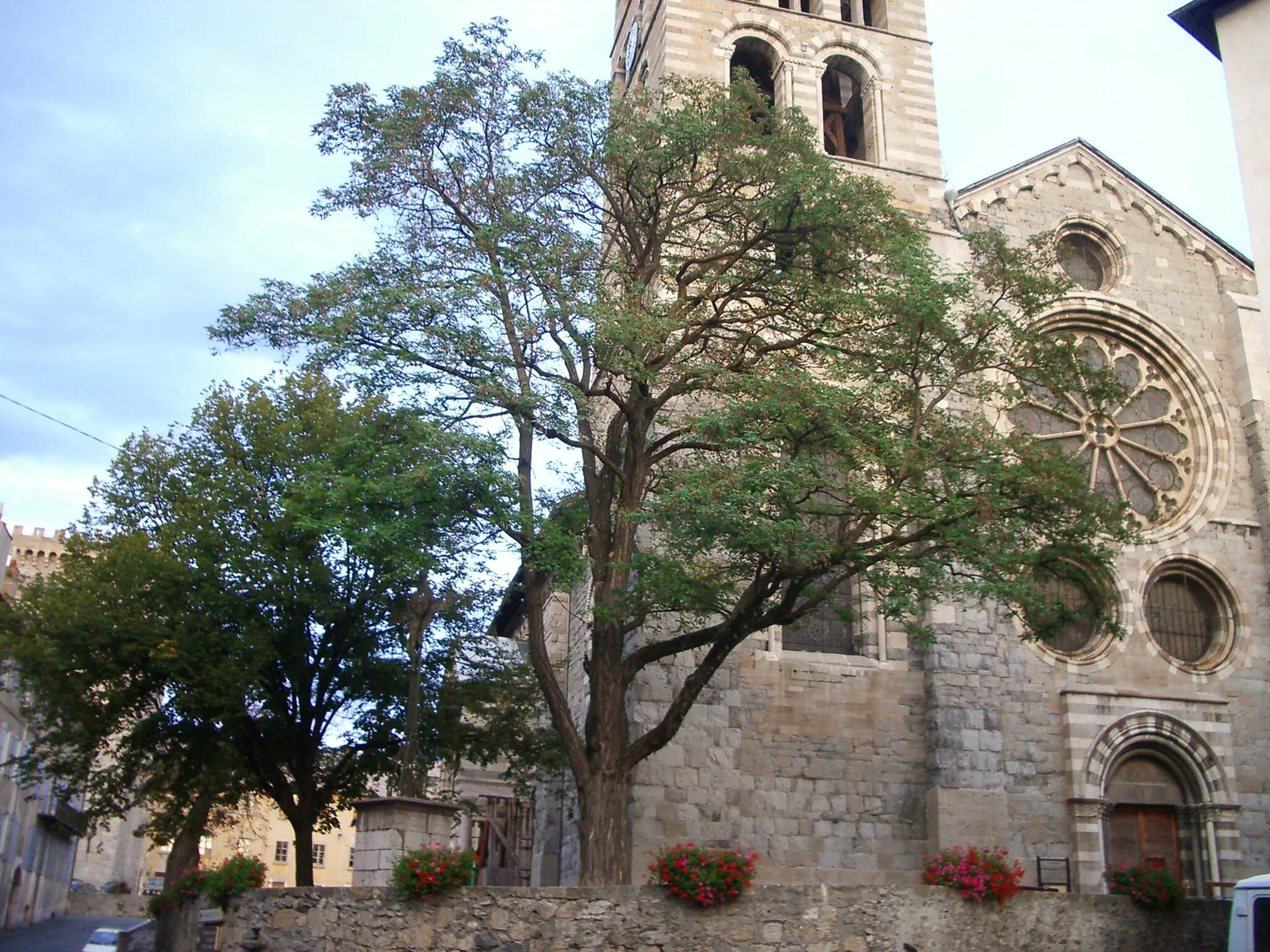 Photo showing: Embrun (Hautes-Alpes, France) : Cathédrale de Notre-Dame du Réal