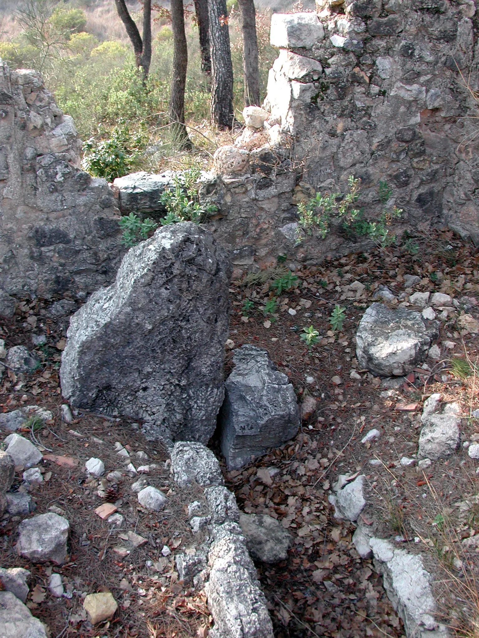Photo showing: Figanières, (Var), Saint-Vals's dolmen