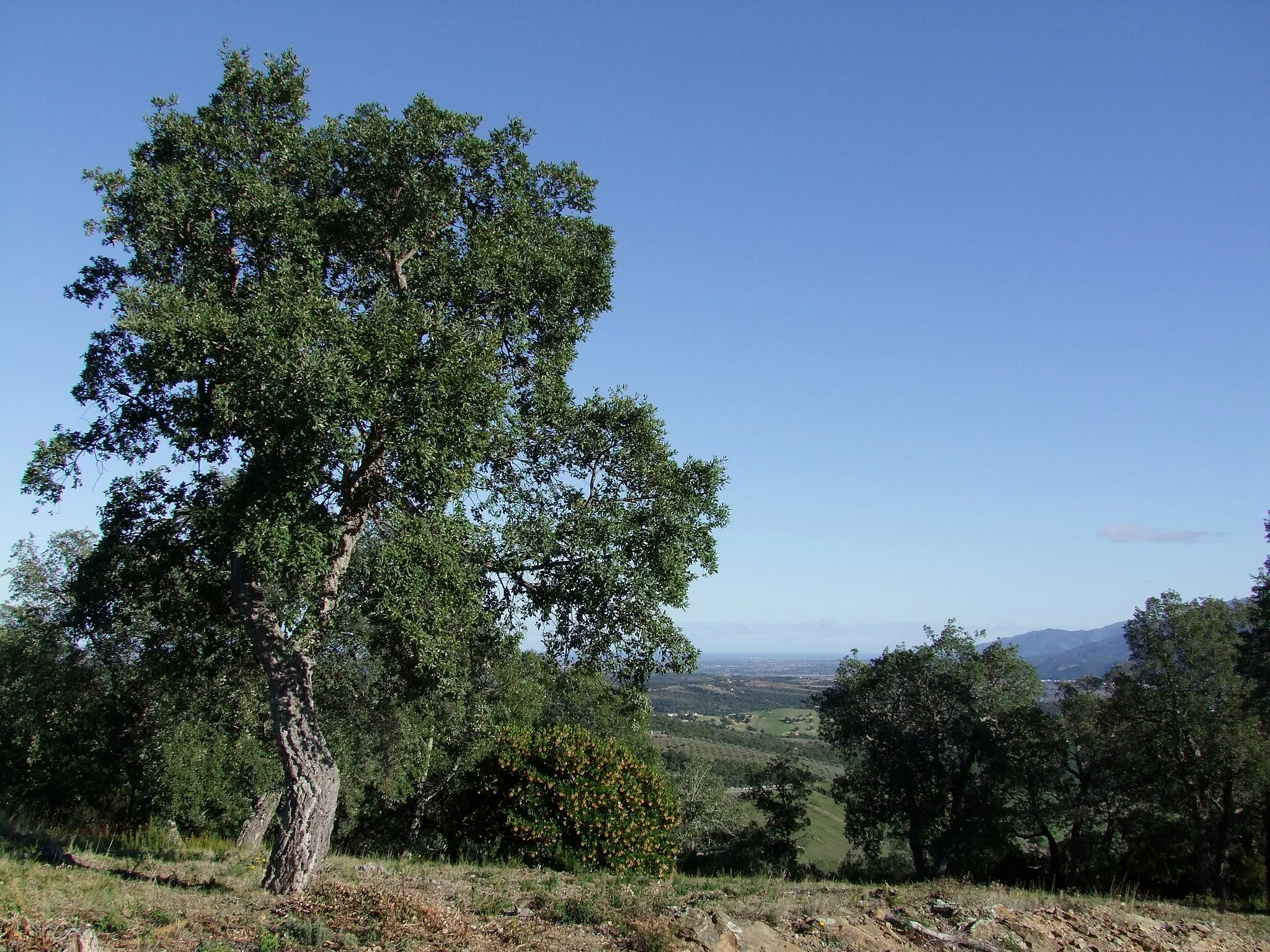 Bilde av Provence-Alpes-Côte d’Azur