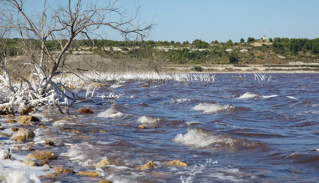 Photo showing: L'étang de Lavalduc ou de La Valduc, est une étendue d'eau très chargée en sel, à niveau variable, voisine de la Méditerranée située à l'ouest de l'étang de Berre, au nord de Fos-sur-Mer. Propriété des Salins du Midi, qui en a fait un bassin de stockage de saumure, à cheval sur trois communes: St Mitre-les-Remparts, Istres, Fos-sur-Mer, dans le Bouches-du-Rhône. Ces eaux d'un bleu rose irisé sont dues à la présence d' Artemia salina.