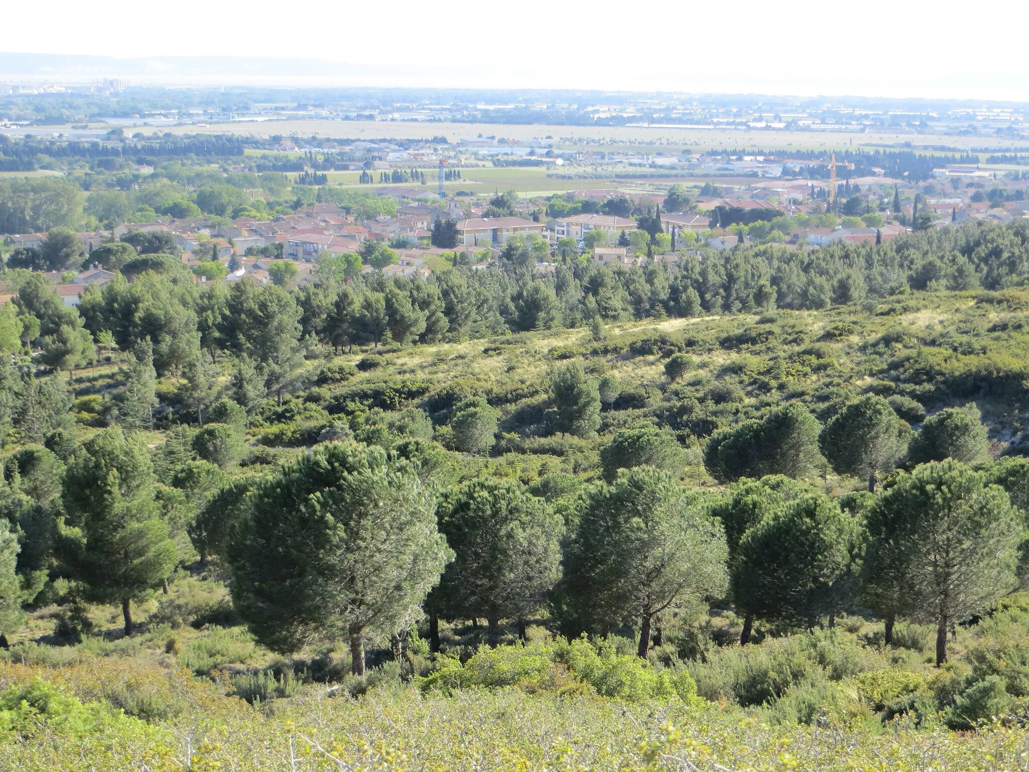 Afbeelding van Provence-Alpes-Côte d’Azur