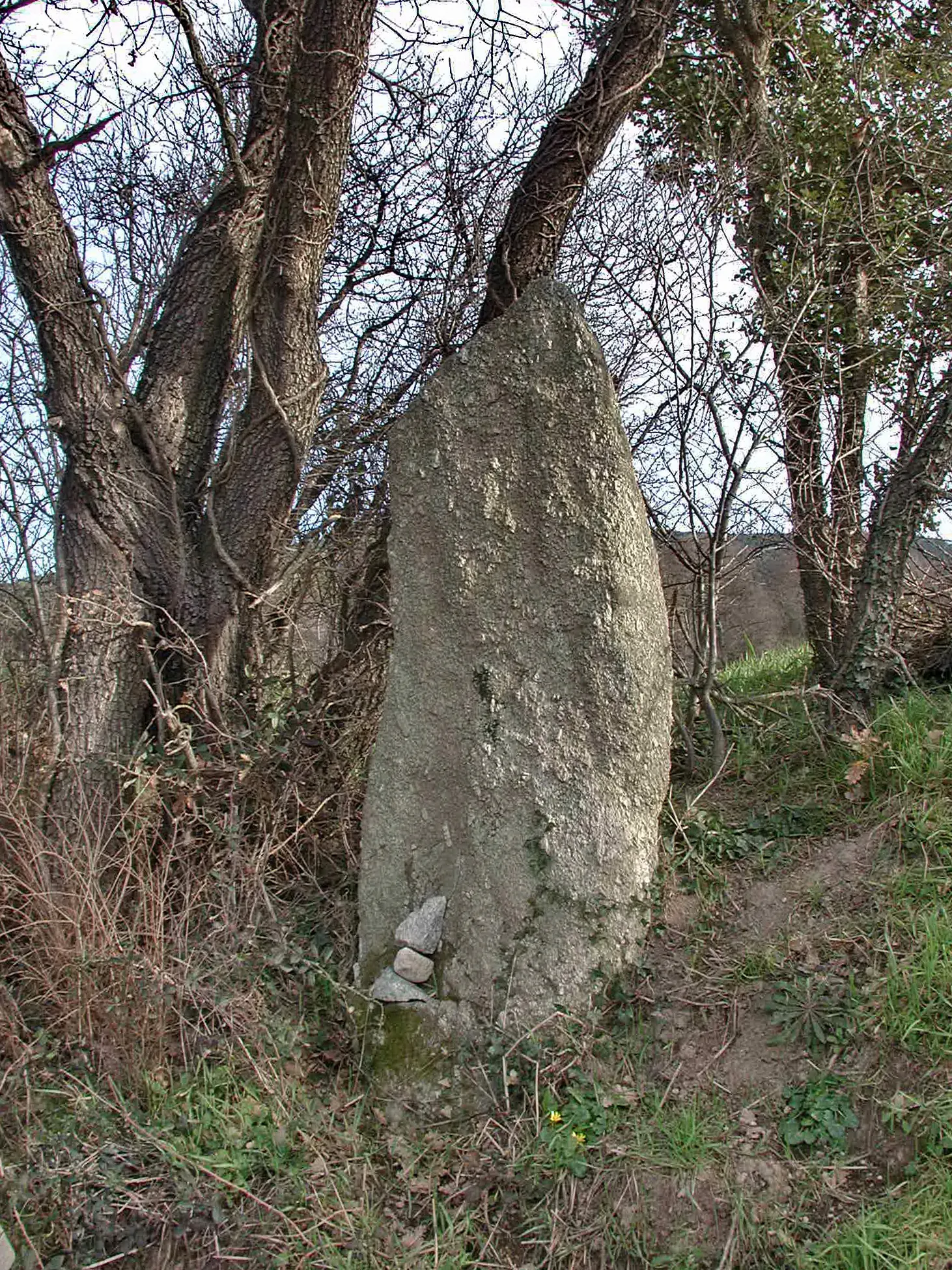 Photo showing: Menhir in Pra-Bourdin, Le Plan de la Tour, Var