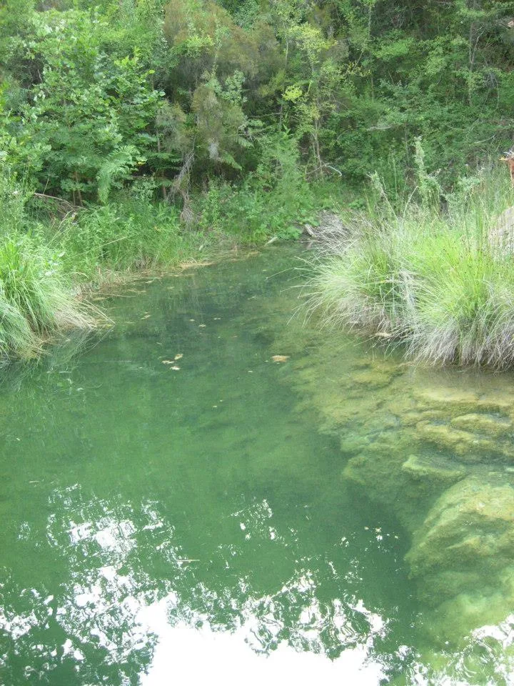 Photo showing: La rivière de Meaulx en Juin