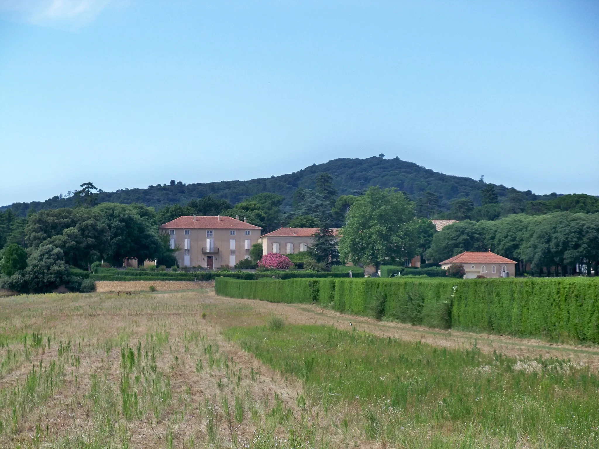 Photo showing: vue générale du Château Saint Estève, AOC Massif d'Uchaux, Vaucluse