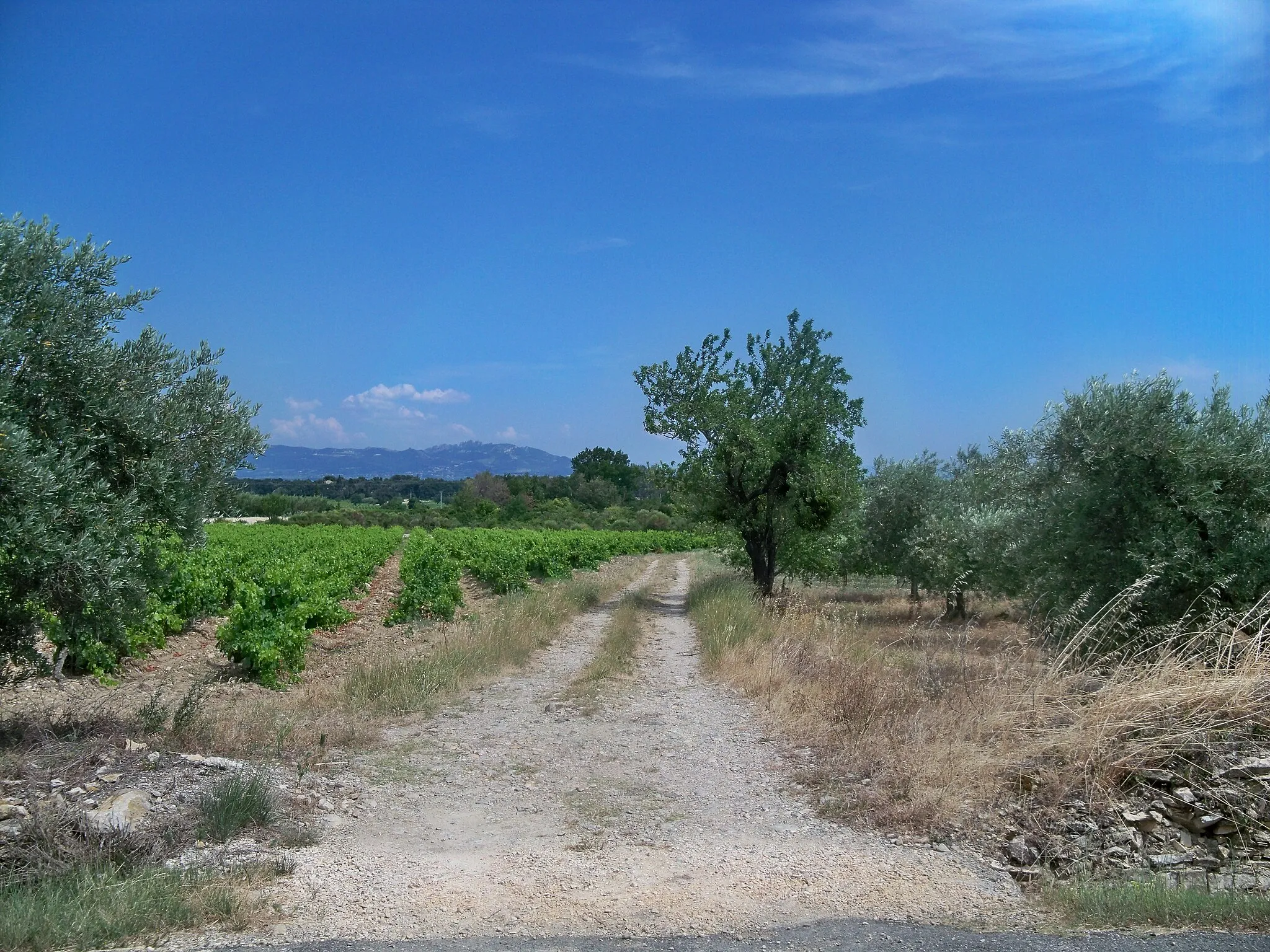 Afbeelding van Provence-Alpes-Côte d’Azur