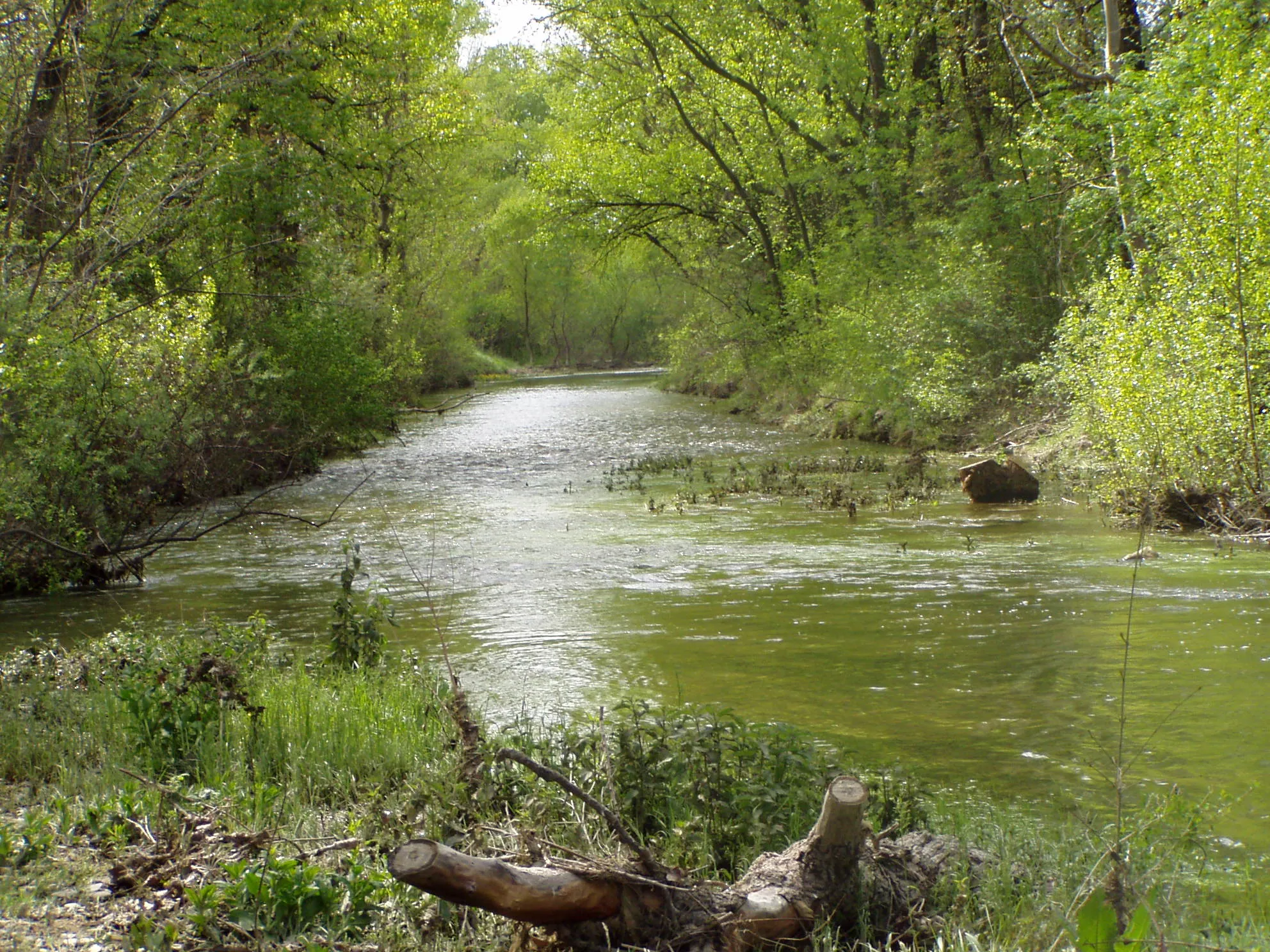 Photo showing: The river of Largue to Villeneuve and Volx