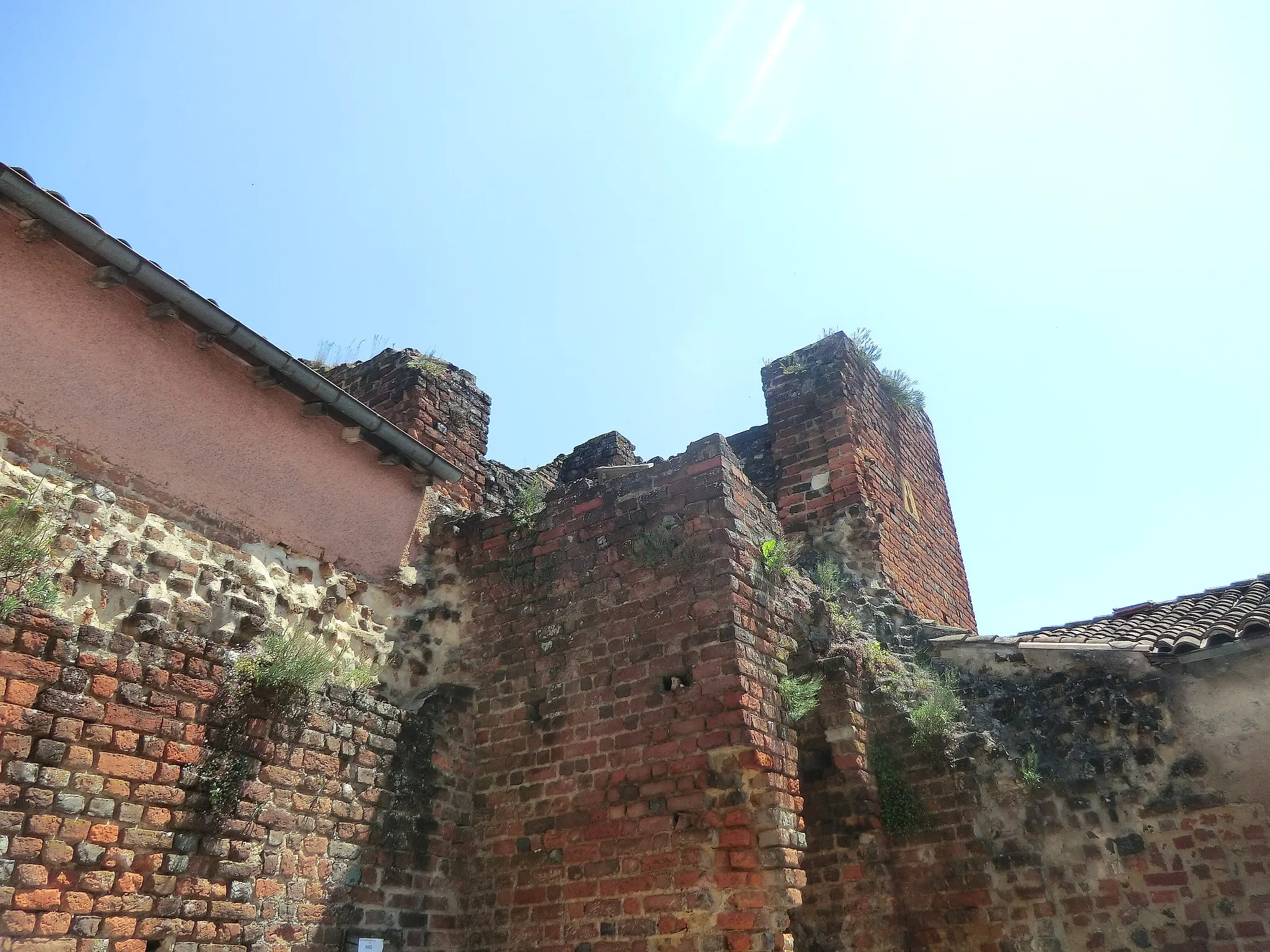 Photo showing: Château d'Ambérieux-en-Dombes - ruines.