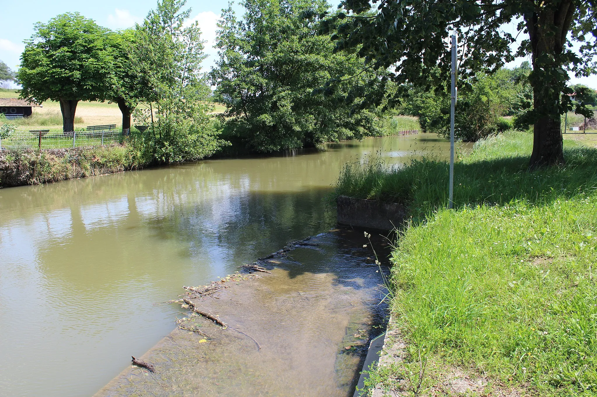 Photo showing: Le Grand Loëze à la frontière entre Bâgé-le-Châtel et Bâgé-la-Ville.