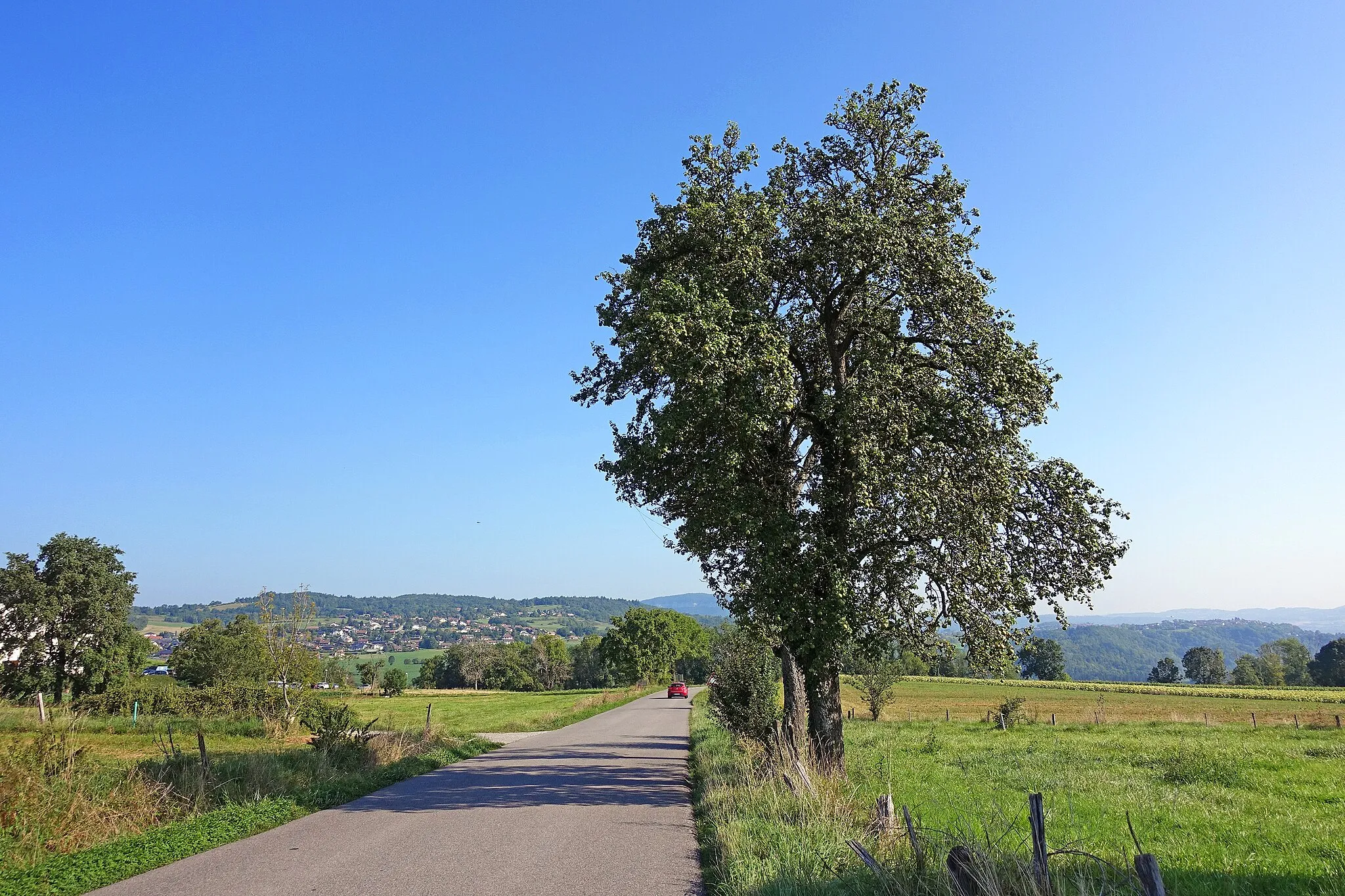 Photo showing: Route des Gorges du Fier in Chavanod, France.