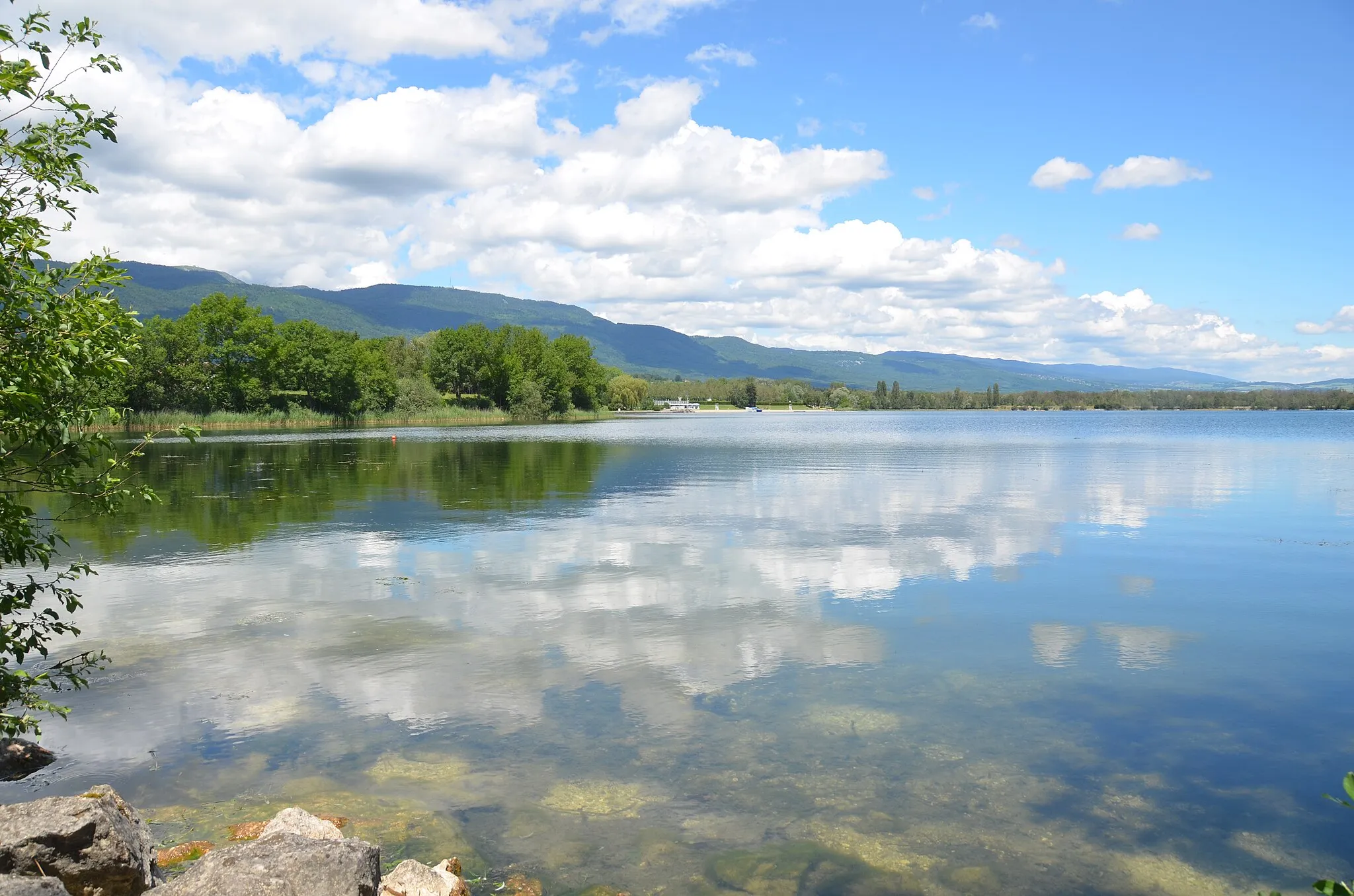 Photo showing: The lake of Divonne-les-Bains near the Swiss border with swimming possibilities