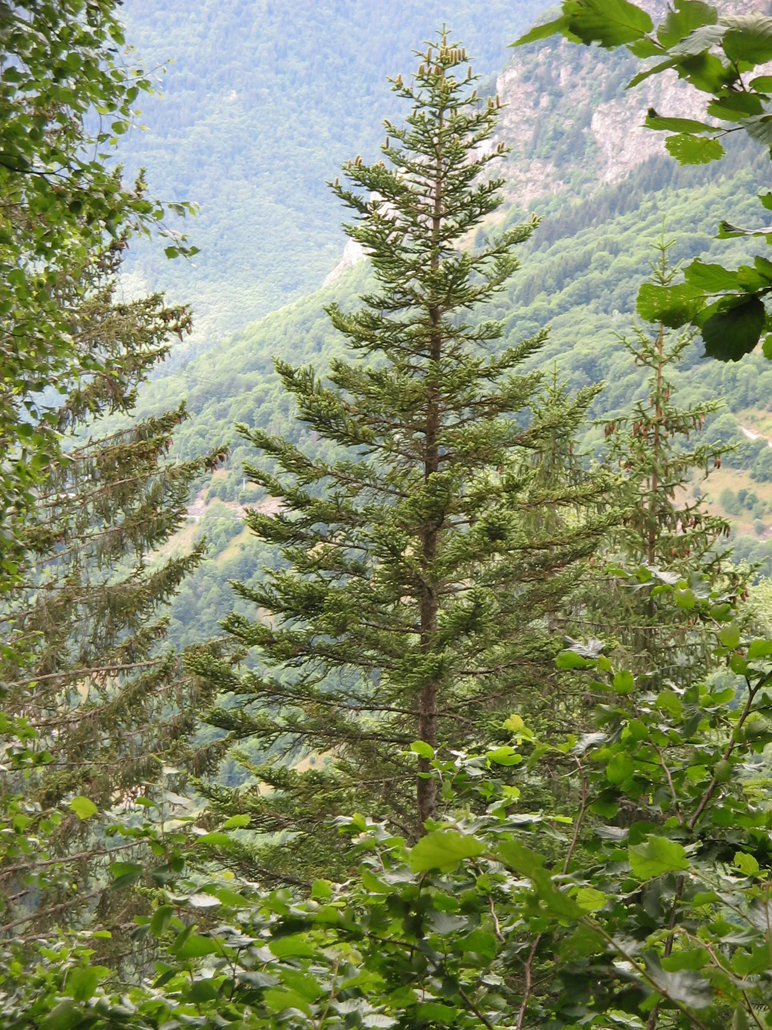 Bild von Rhône-Alpes