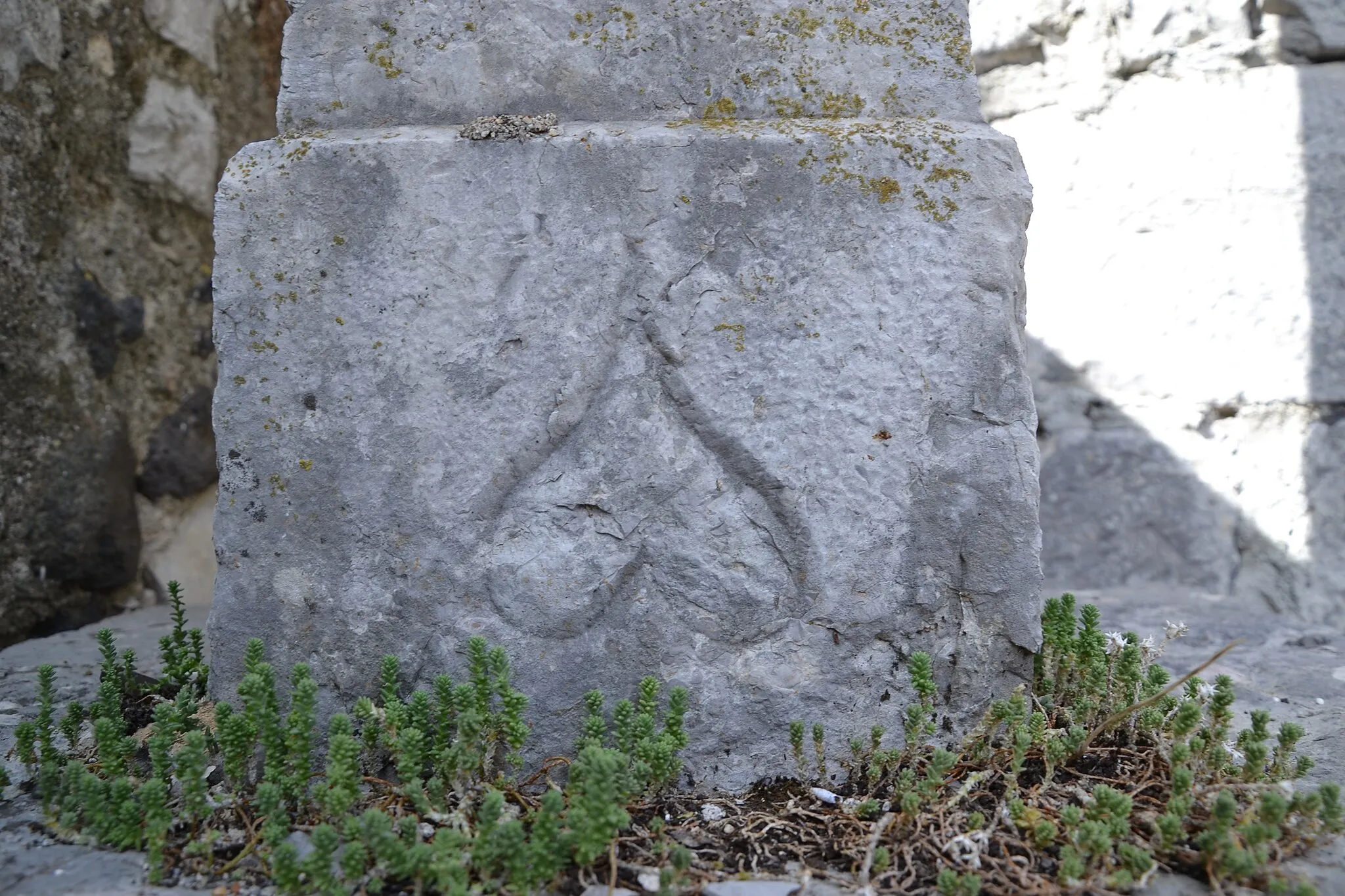 Afbeelding van Rhône-Alpes