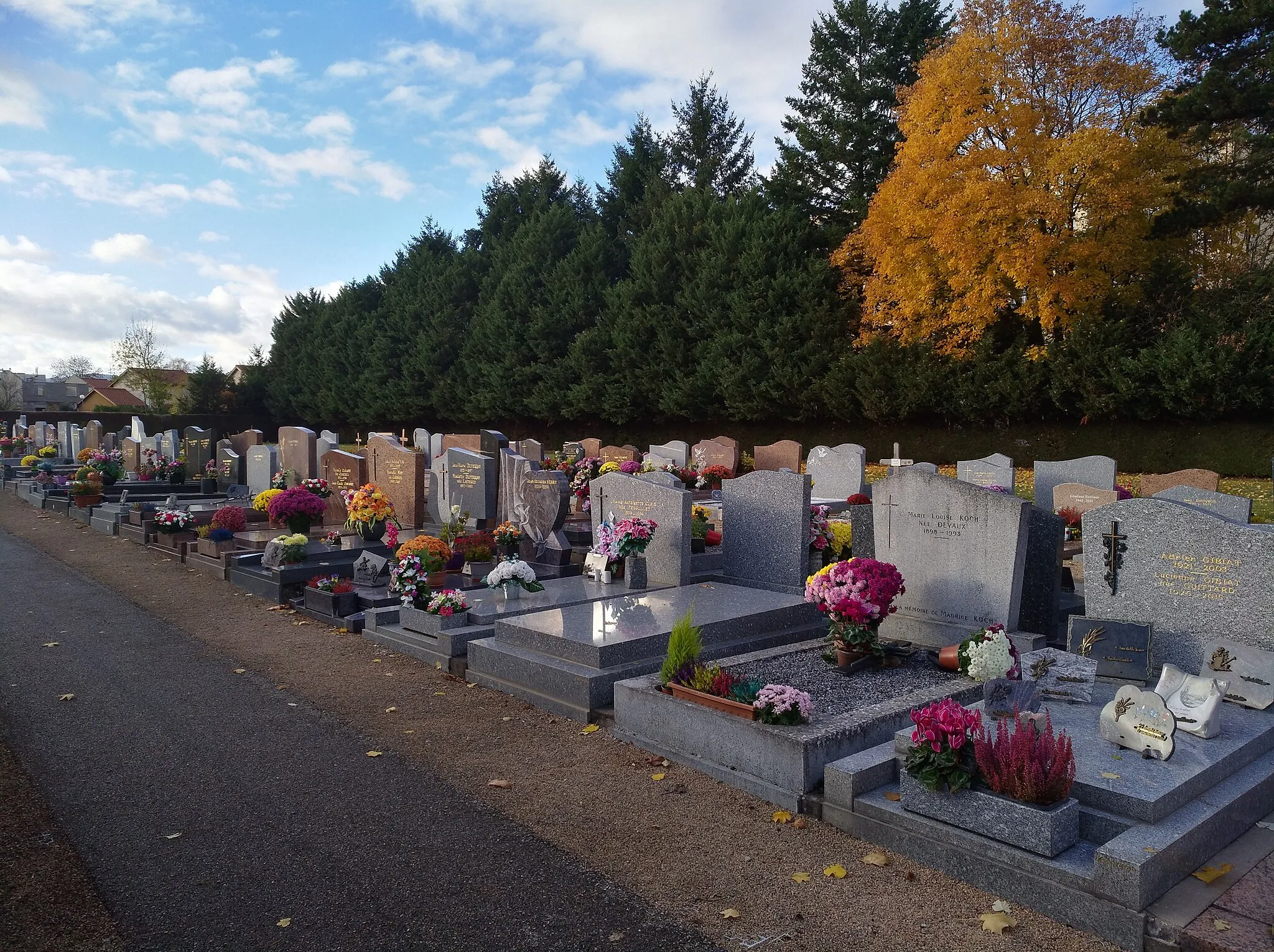Photo showing: Allée du cimetière de Limas (Rhône, France).