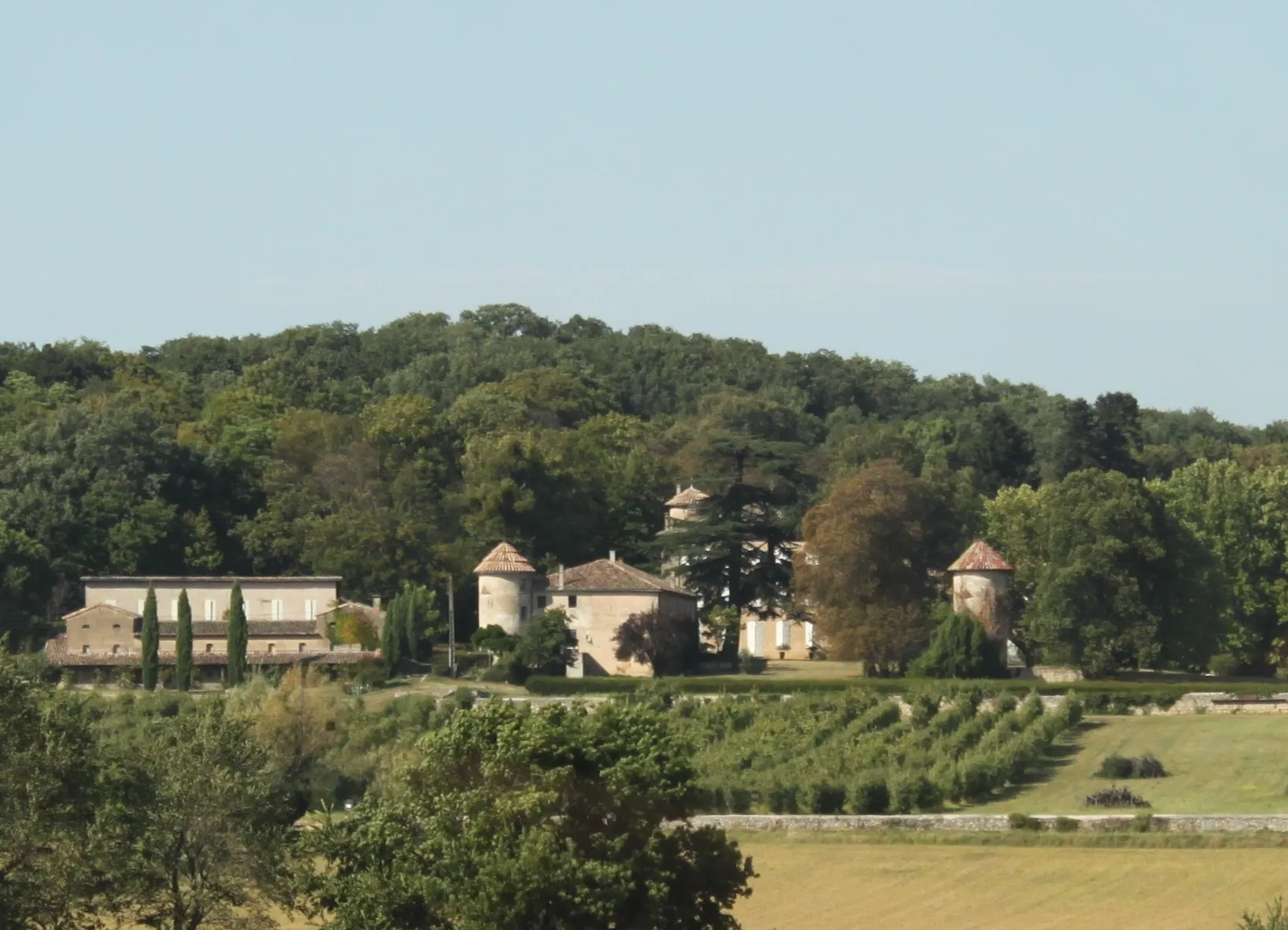 Photo showing: Château La Rolière à Livron