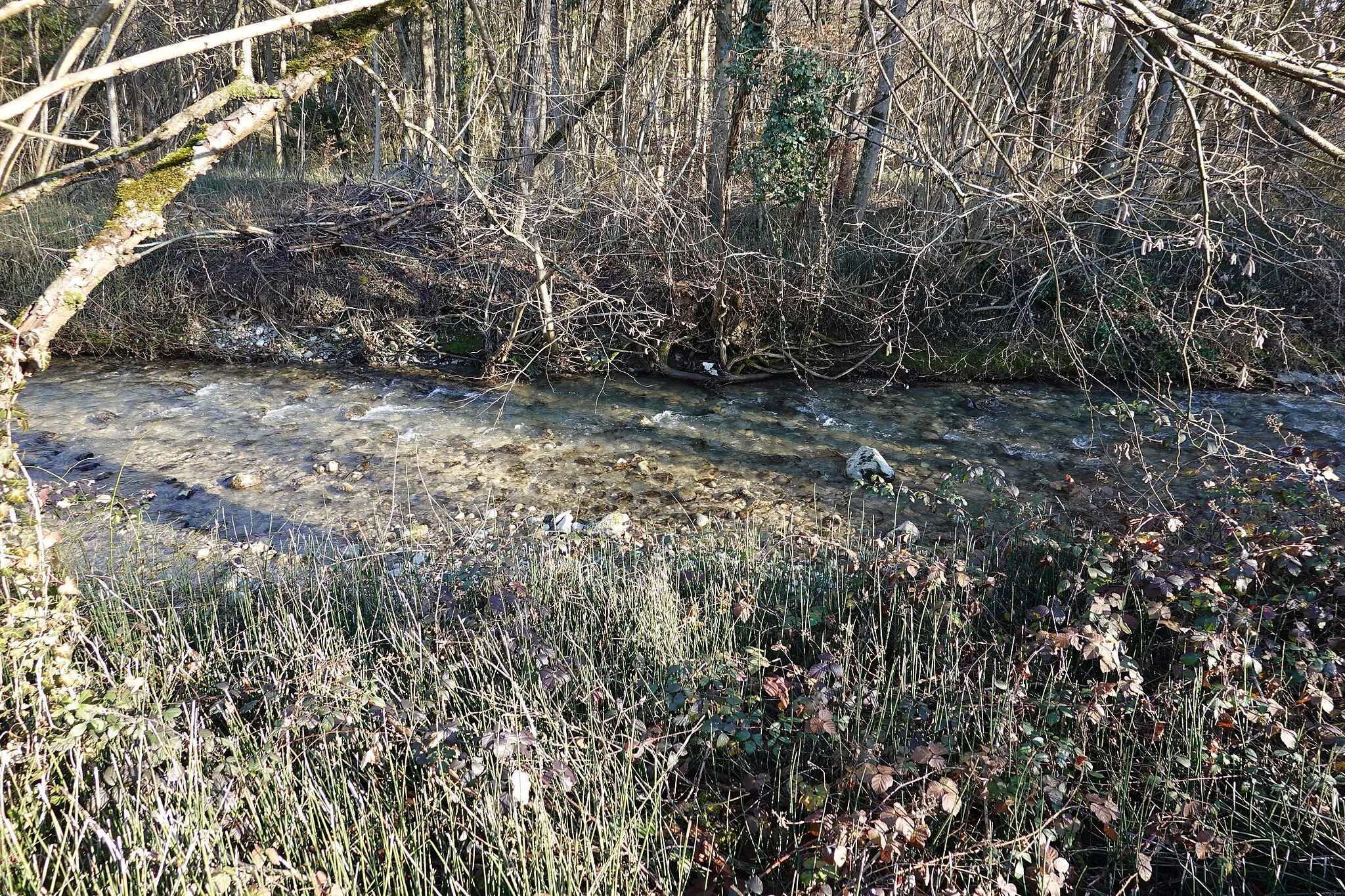 Photo showing: Épagny-Metz-Tessy @ Hike along the Viéran river