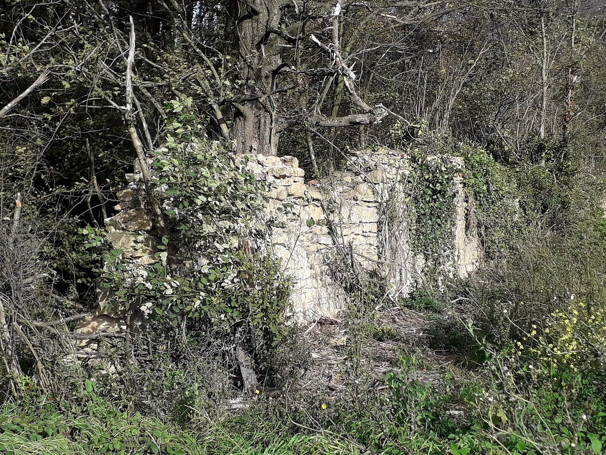 Photo showing: Le mur de Camille envahi par la végétation le long du Parc de Neuville, vu côté Montanay.