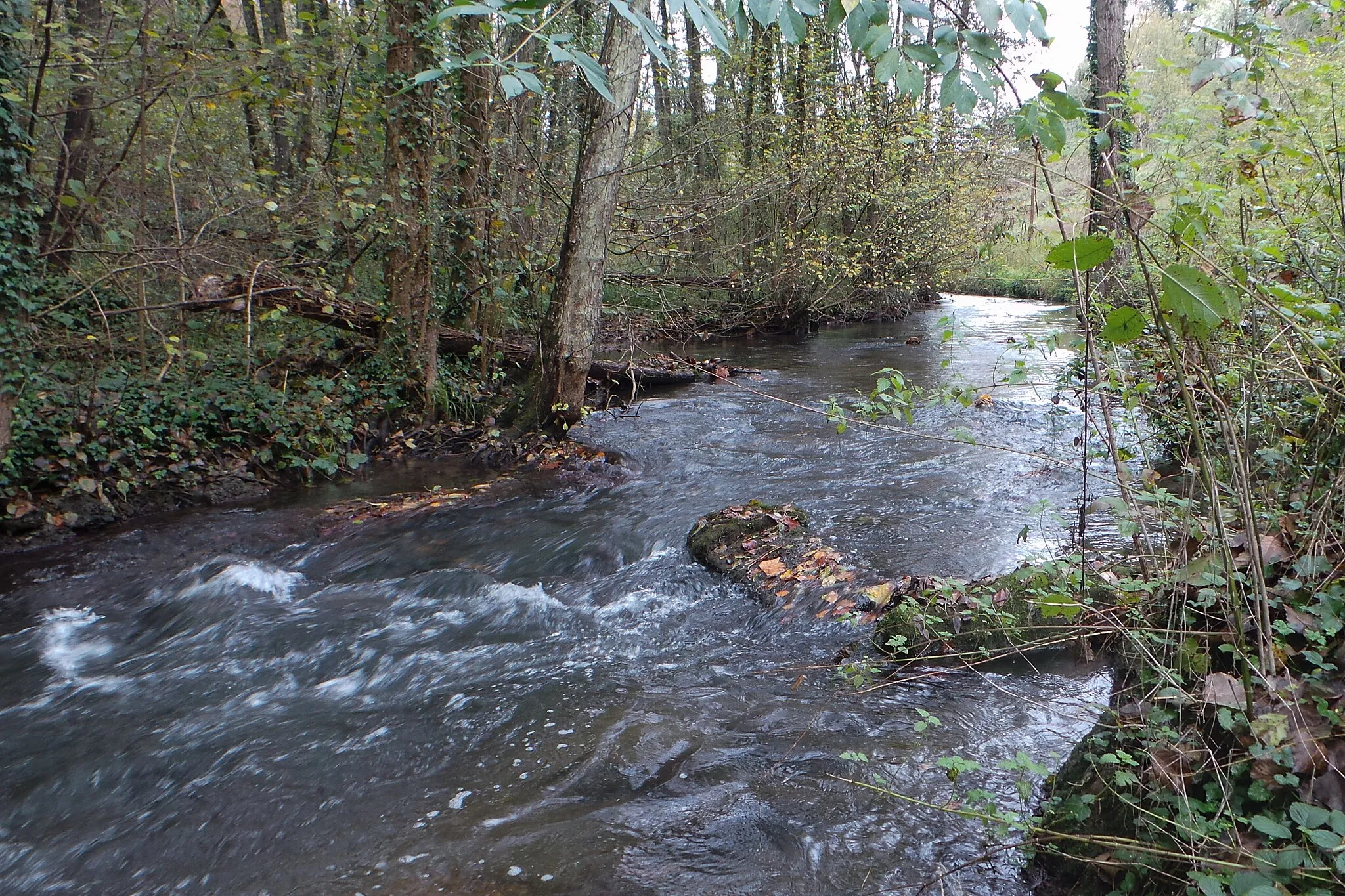 Photo showing: La Fure à Rives, au niveau du lieu-dit "Pont-du-Bœuf" (Rives / Isère / France)