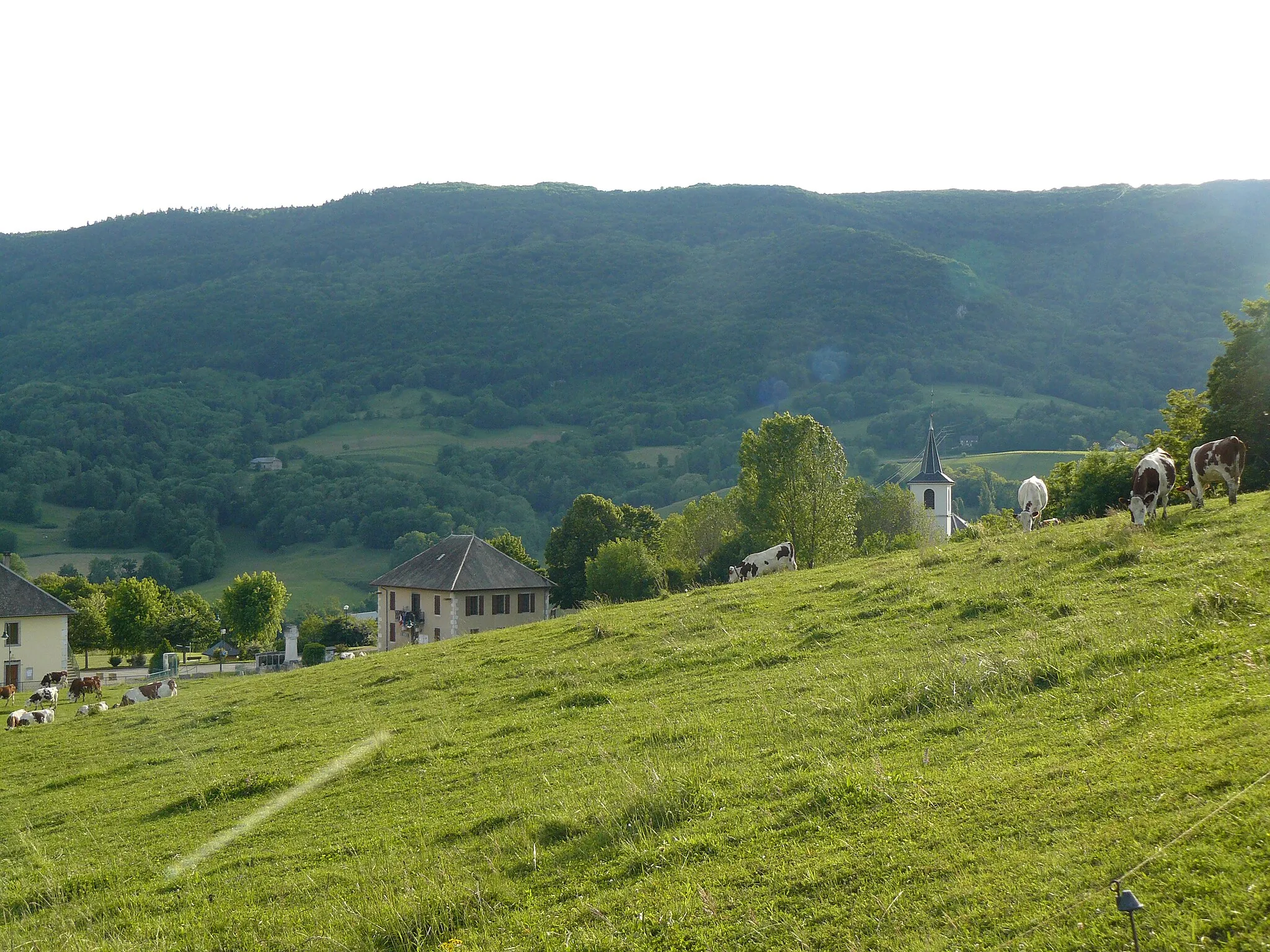 Image of Rumilly