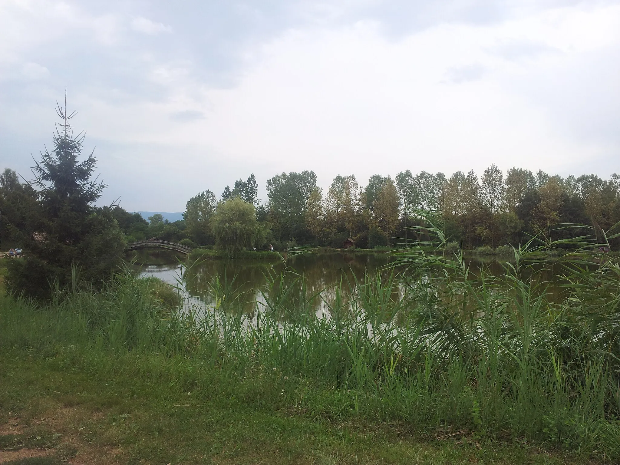 Photo showing: petit lac où l'on peut pêcher de la truite