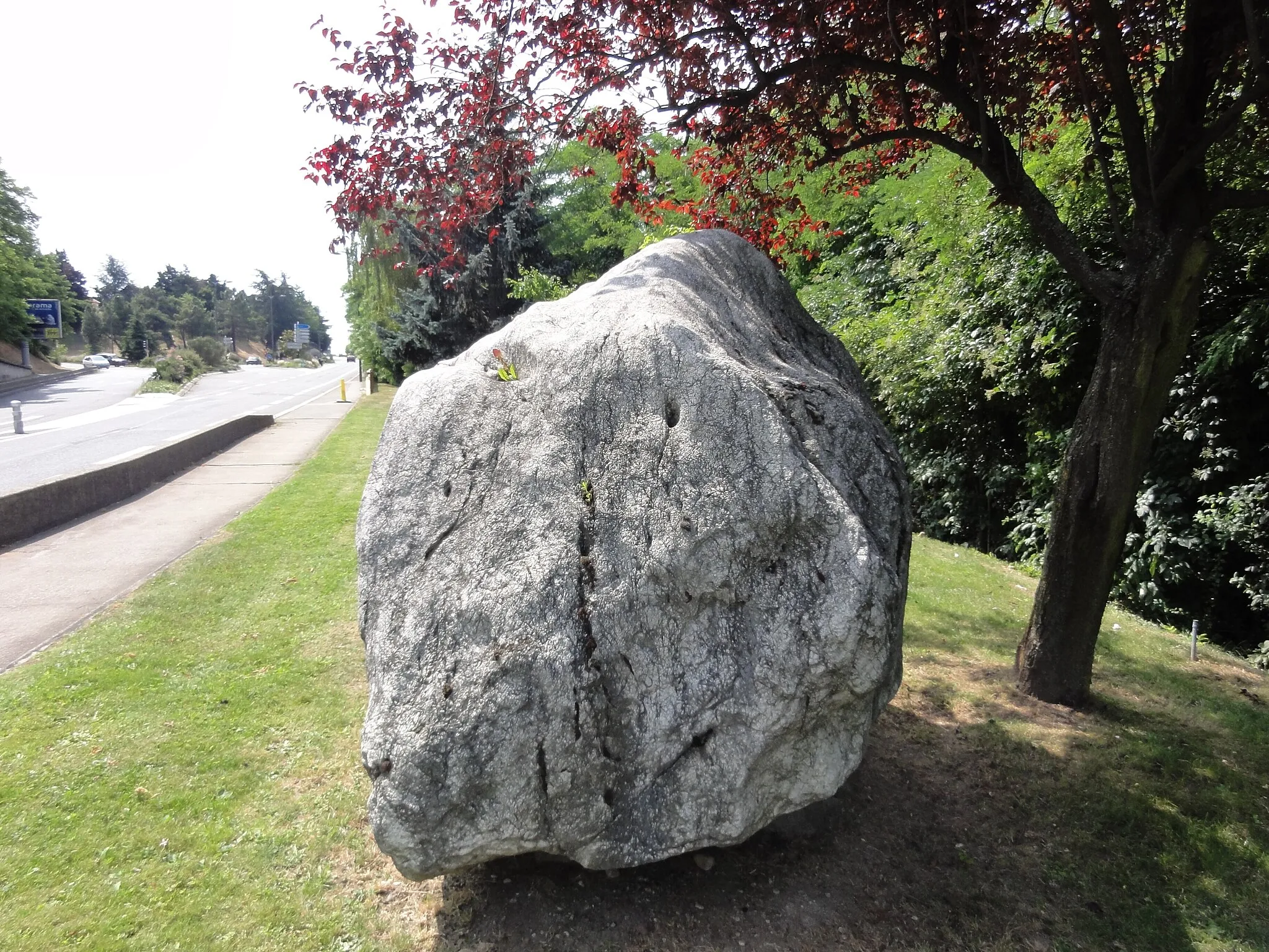 Photo showing: Bloc erratique de Saint-Fons (Rhône) - France