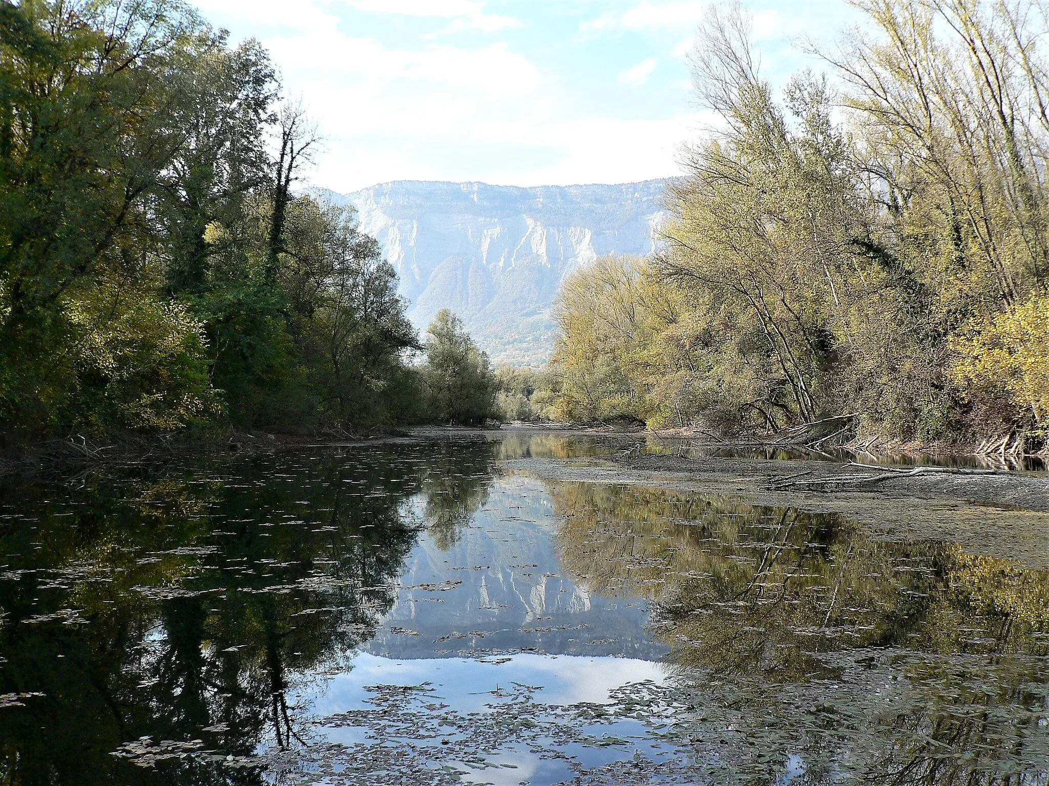 Photo showing: ENS Bois de La Bâtie, sur les cummunes de Saint-Ismier et du Versoud, Isère, AuRA, France.