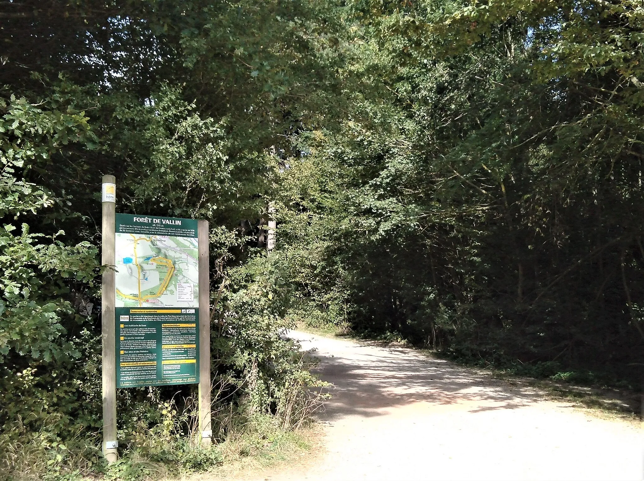 Photo showing: Entrée de la Forêt de Vallin en septembre 2019