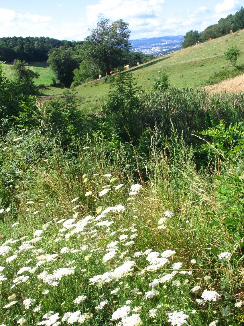 Immagine di Rhône-Alpes