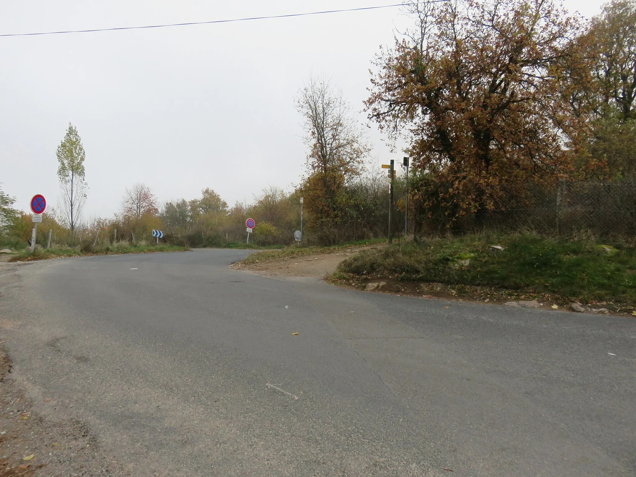 Photo showing: Route au col de la Croix du Ban, dans le département du Rhône.