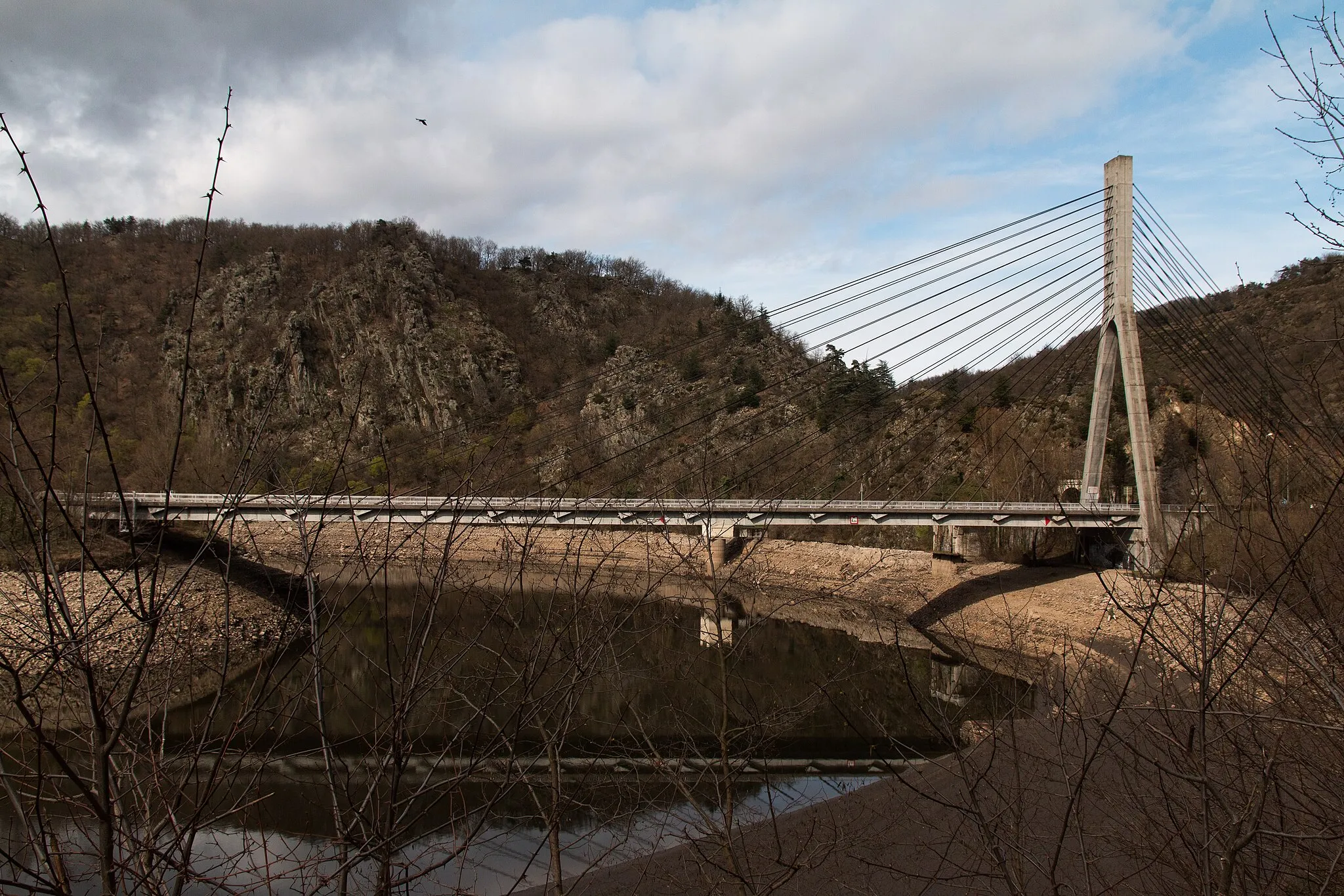 Photo showing: Bridge of the bicentenary of the Revolution.