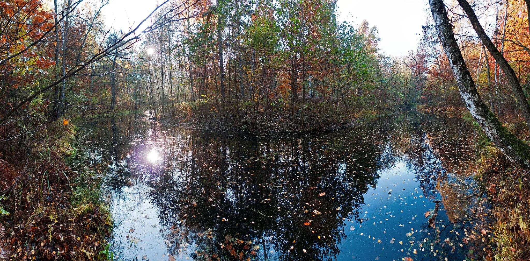 Photo showing: Naturschutzgebiet Krumme Lake, Berlin-Grünau, siehe [1]