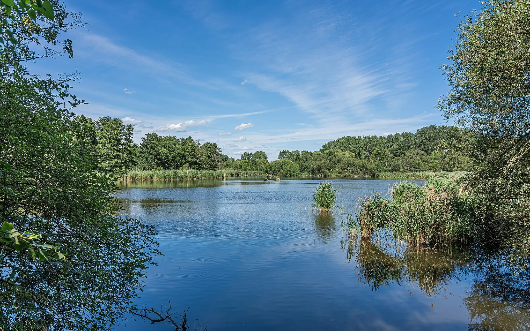 Photo showing: View of Karow Ponds in Berlin, Germany