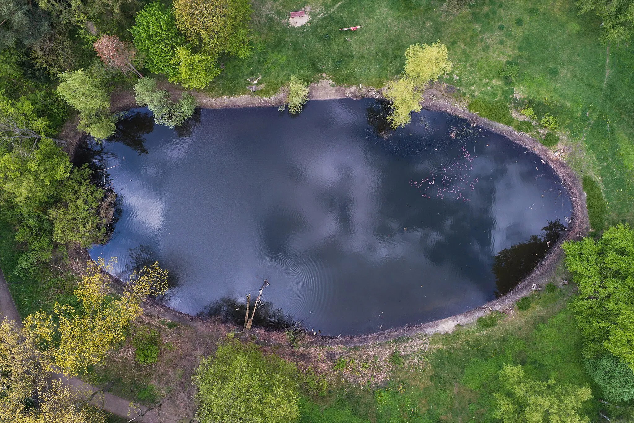 Photo showing: Lake Blanke Helle at Alboinplatz in Berlin (Germany)