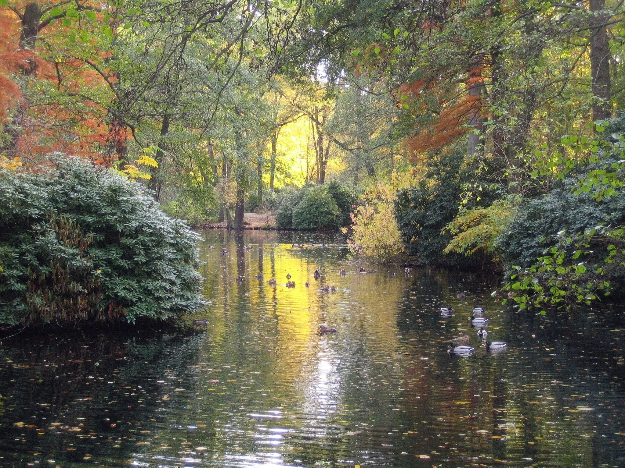 Image of Tiergarten