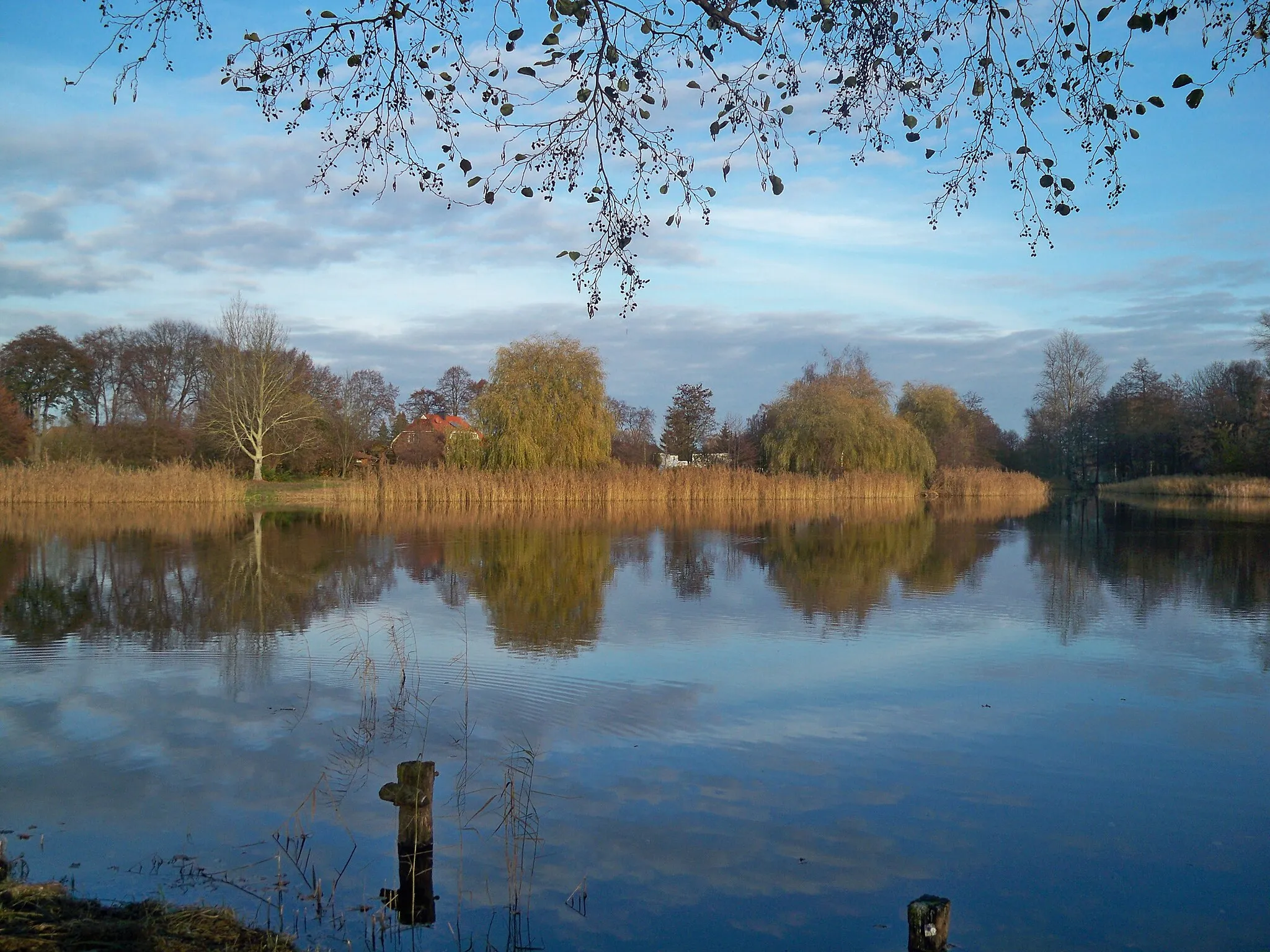 Photo showing: Brome, Lower Saxony, Ohresee