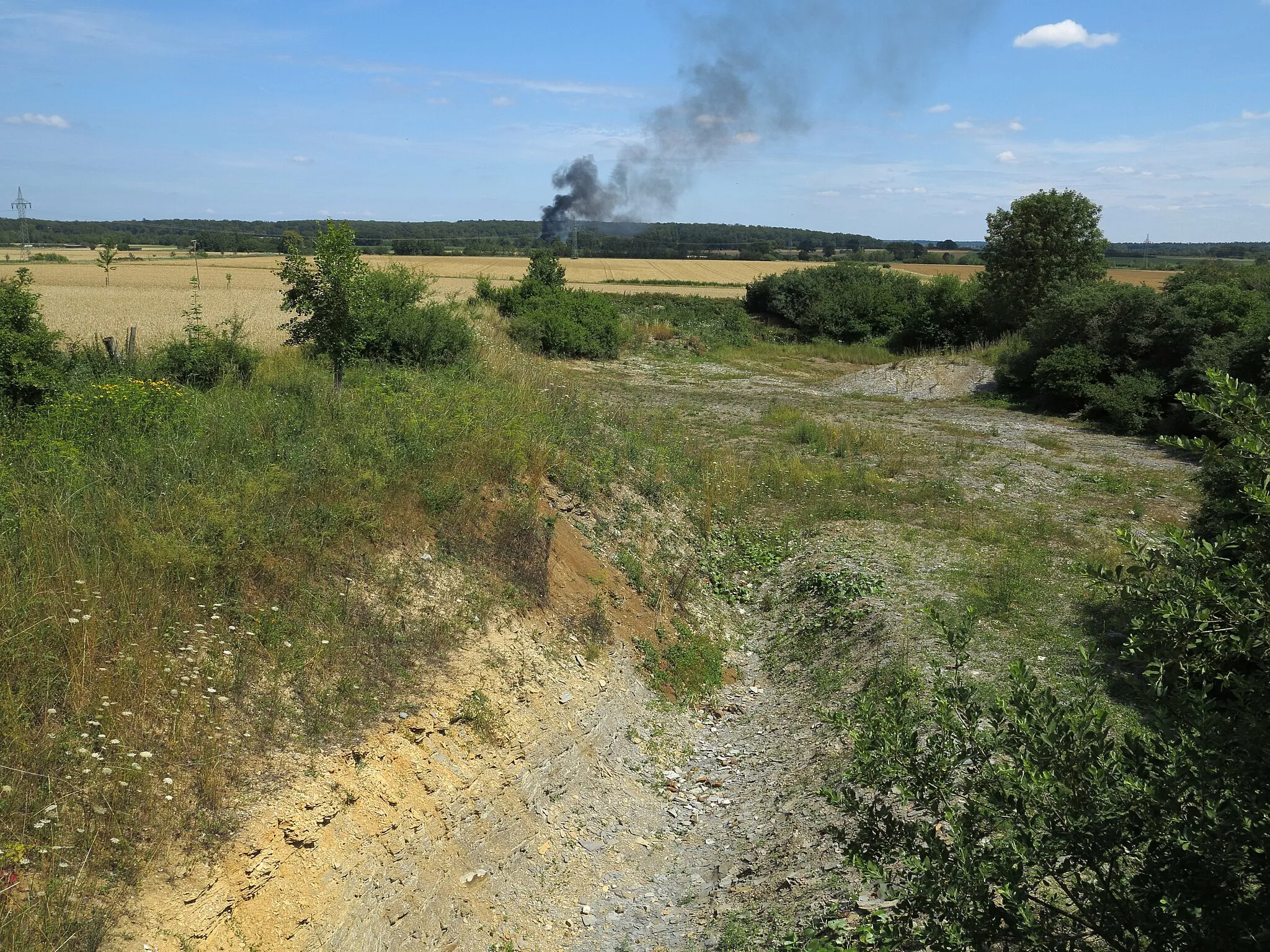 Photo showing: The former marl pit of Hondelage, Germany. It's located in the fringe zone of the Hondelage jurassic trough. Here two Ichthyosaurs aud the skeleton of a Steneosaurus have been found. At the bottom of the image there is an 8 m long stretch of Posidonia Shale exposed. Remark: the black smoke at the horizon is caused by a burning tractor.